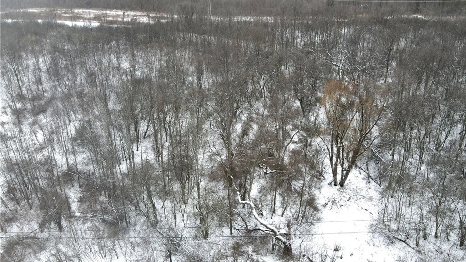Property at Clark Hollow Road, Fabius, NY 13084 9
