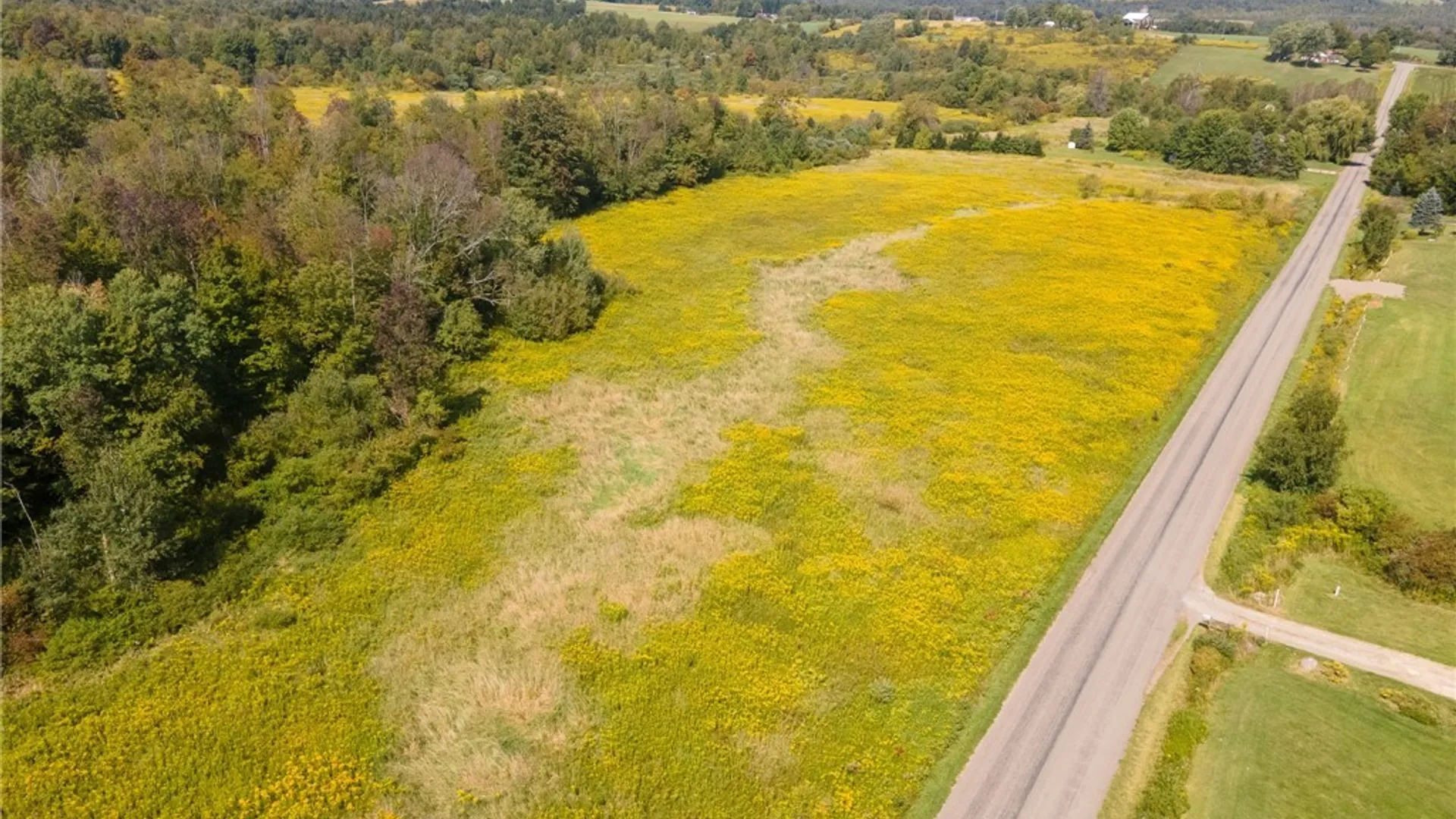 Property at New Buffalo Road, French Creek, NY 14724 2