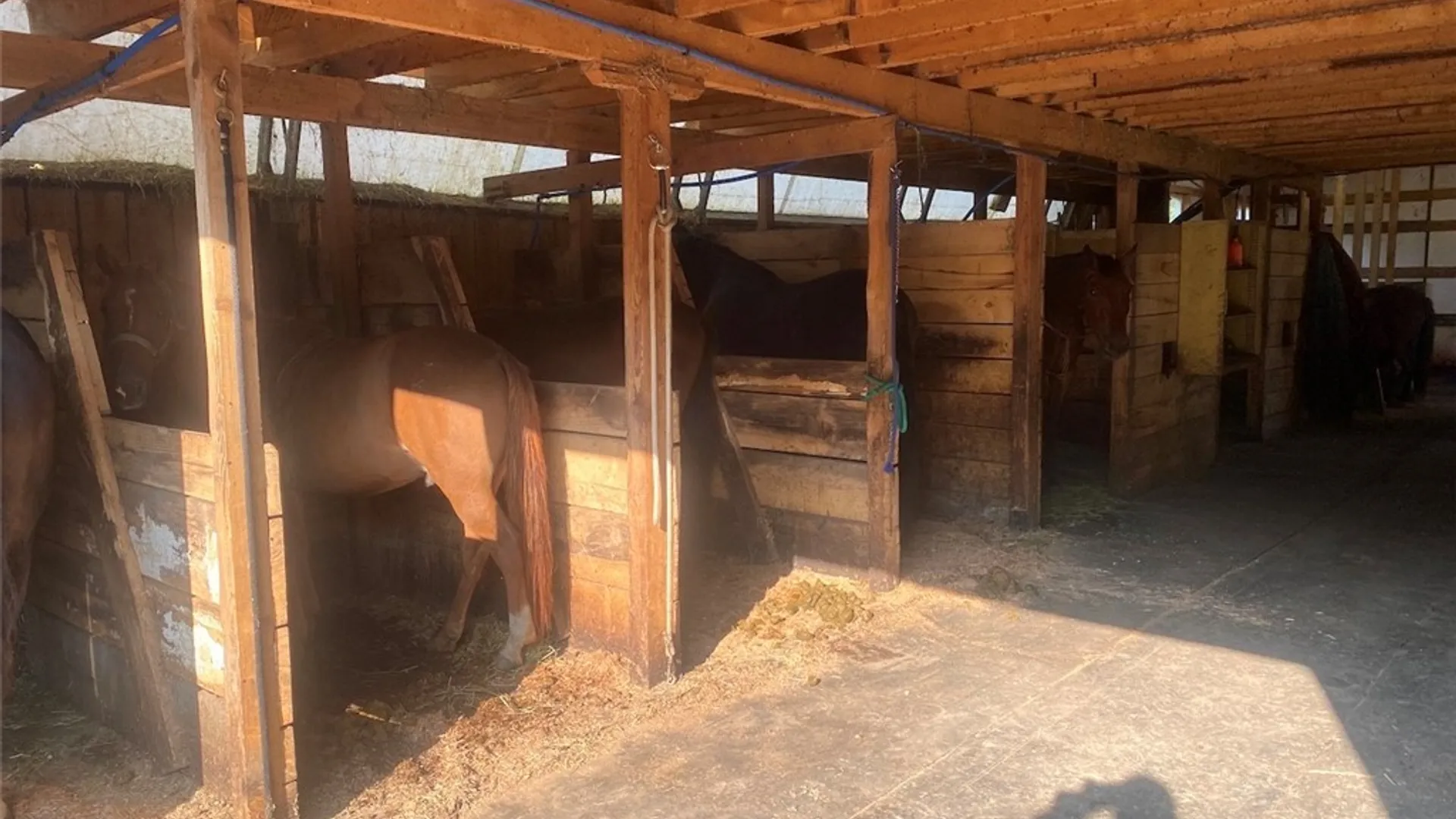Property at 6341 County Road 4, Hume, NY 14735 41