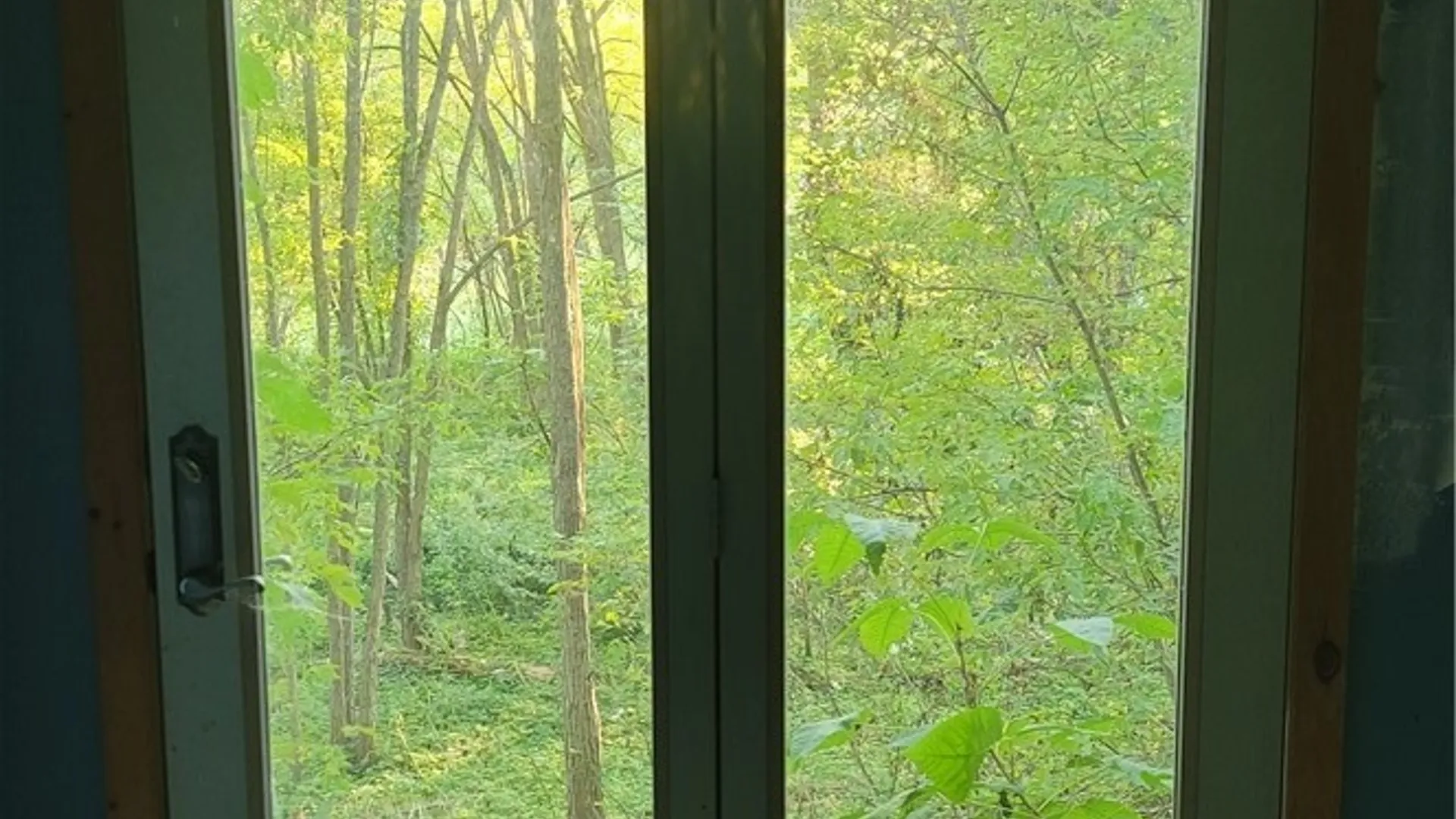 Property at 123 Piper Road, Herkimer, NY 13350 12