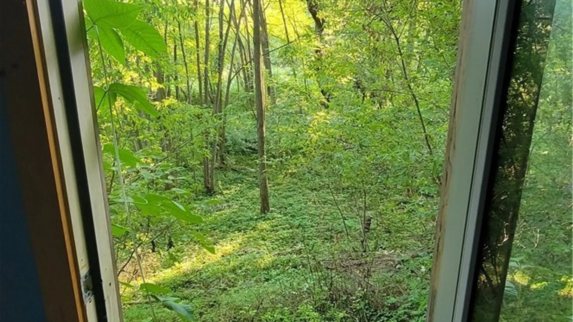 Property at 123 Piper Road, Herkimer, NY 13350 13