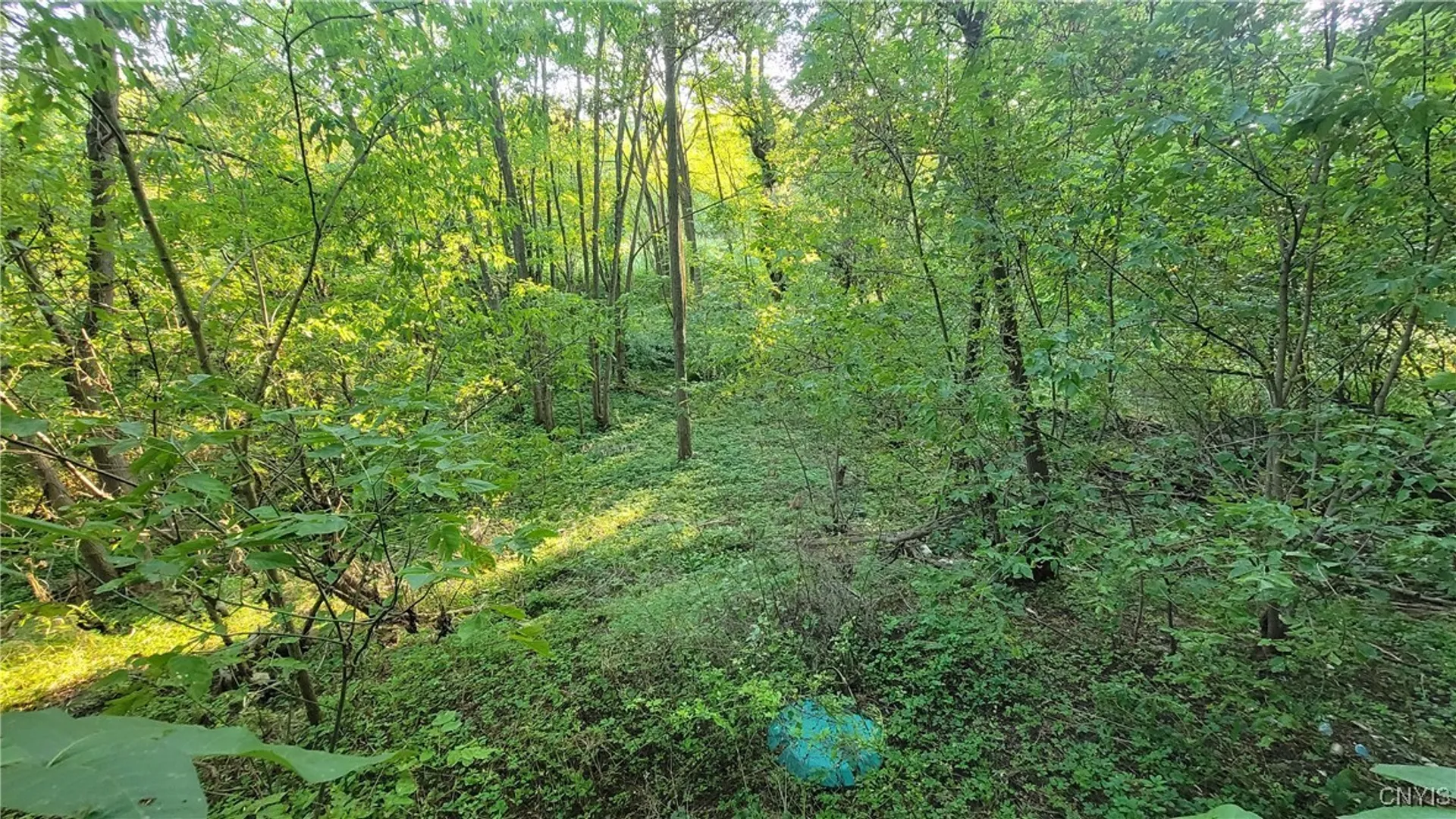 Property at 123 Piper Road, Herkimer, NY 13350 14