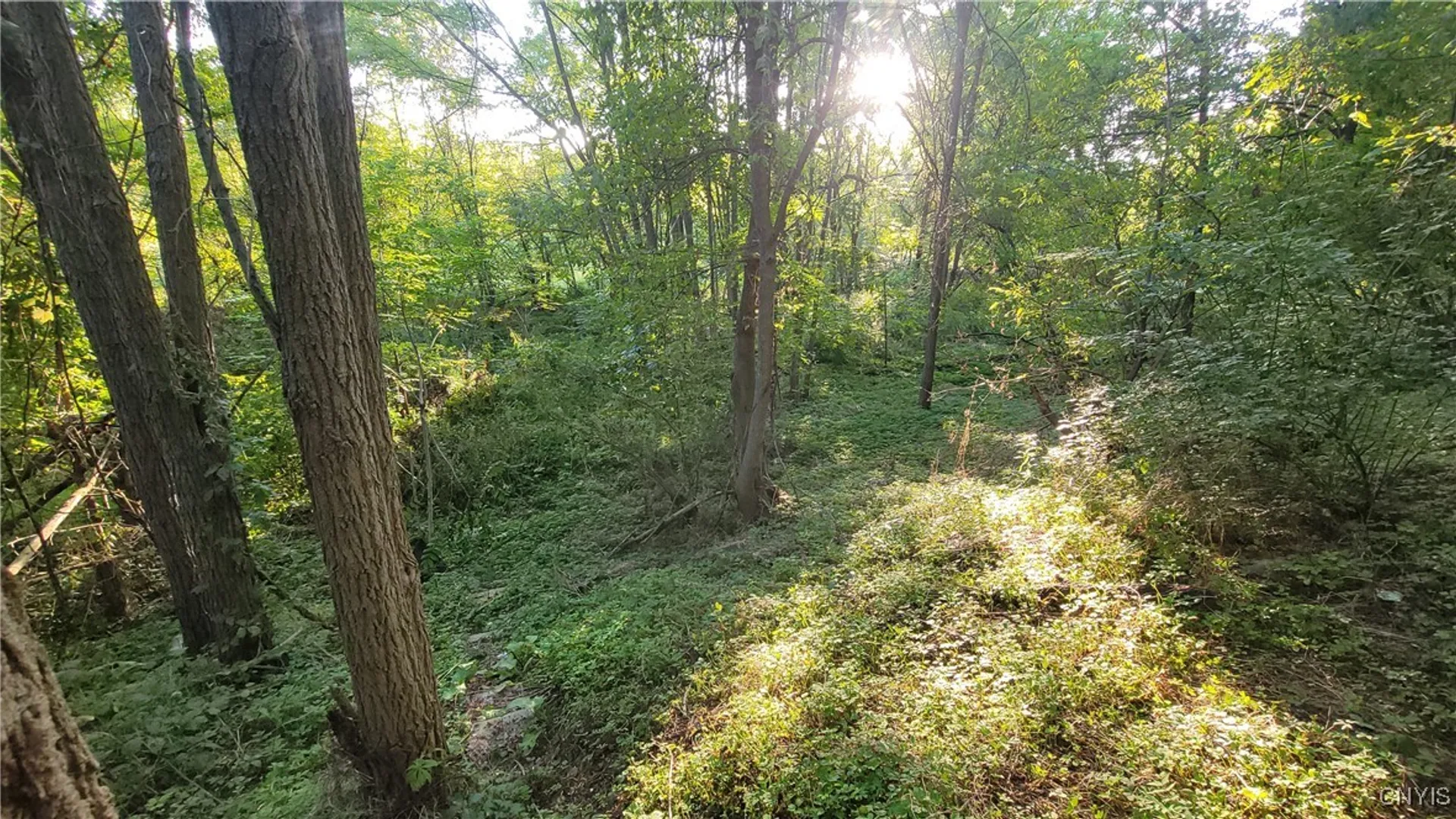 Property at 123 Piper Road, Herkimer, NY 13350 33