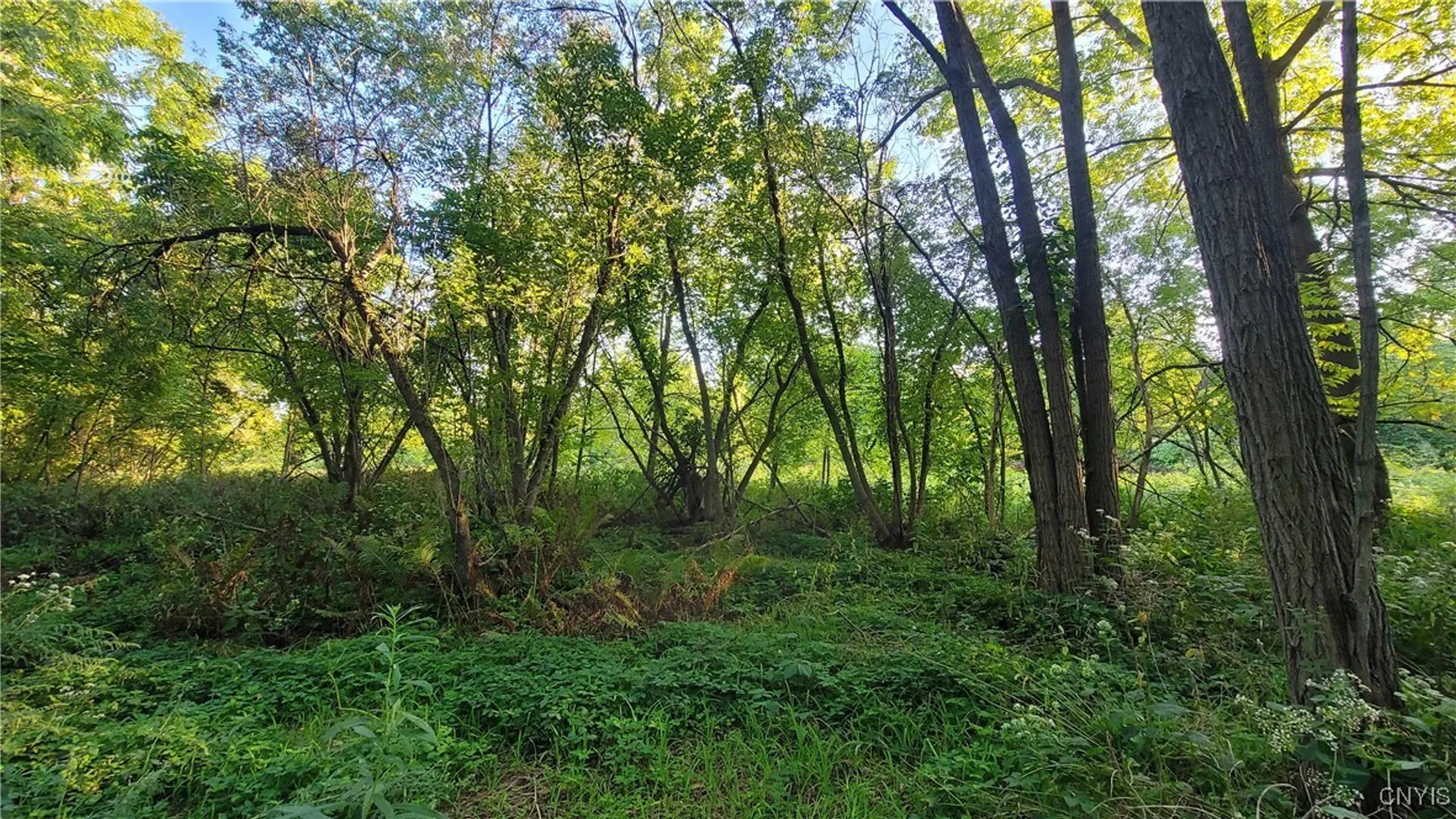 Property at 123 Piper Road, Herkimer, NY 13350 36