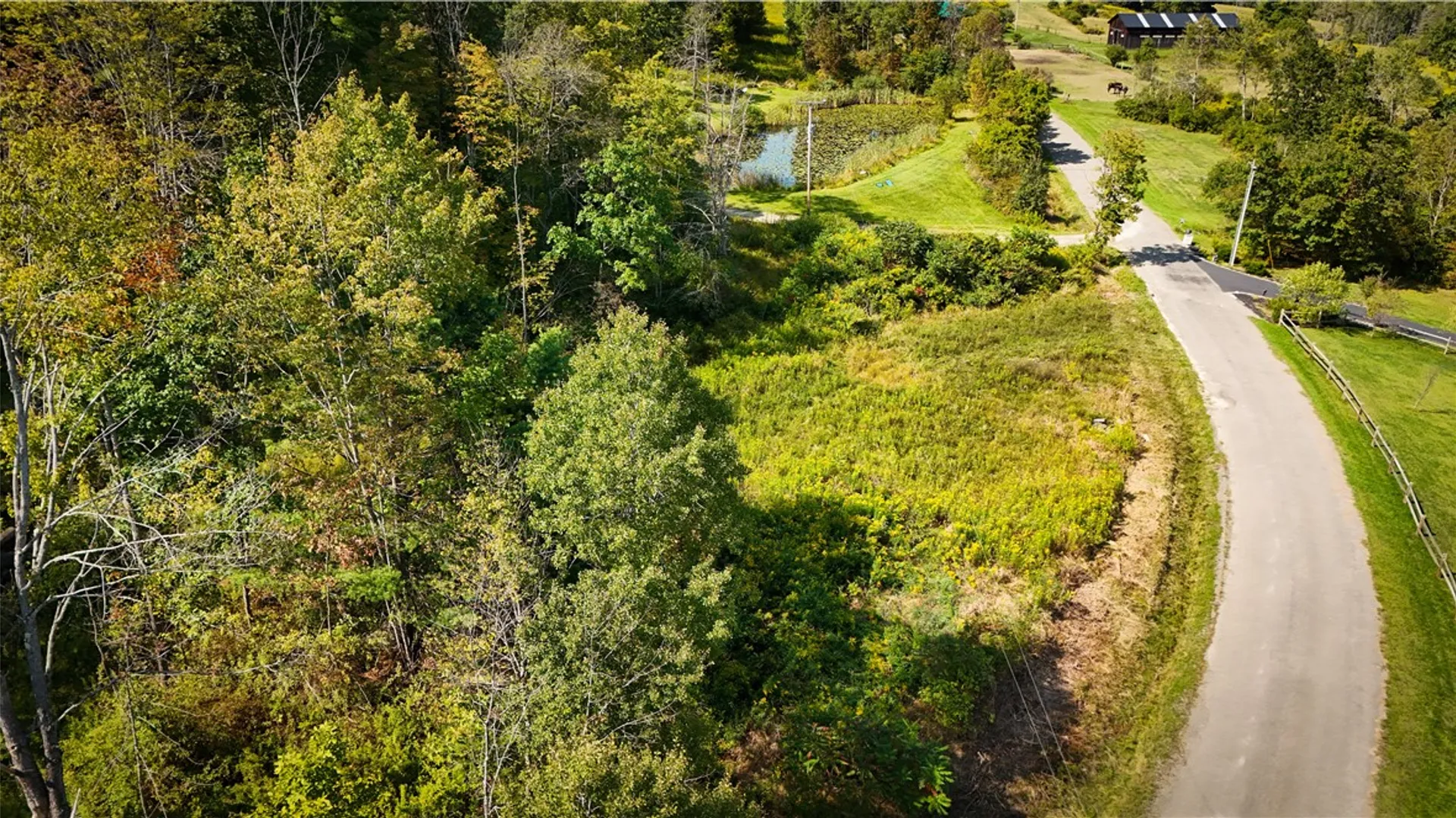 Property at 0 Worden Road, Barton, NY 14892 10