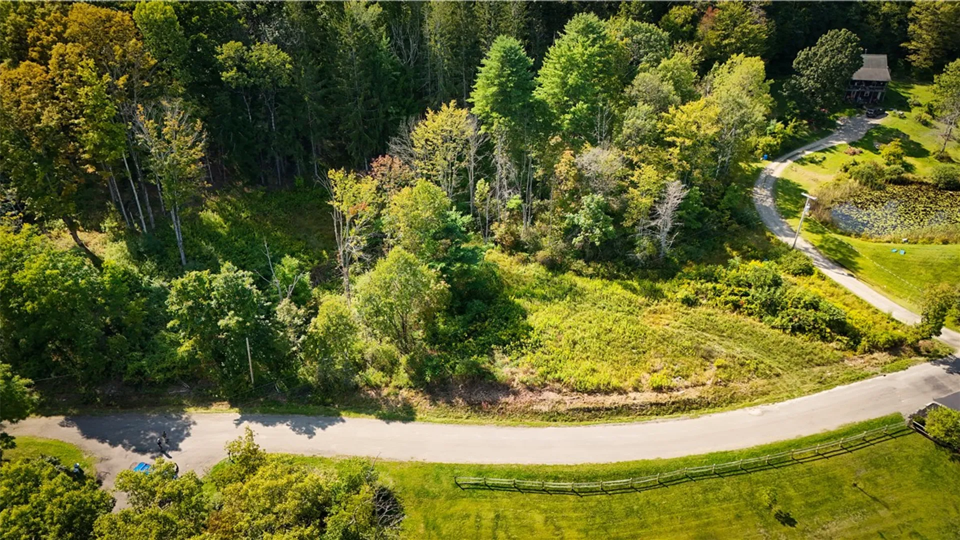 Property at 0 Worden Road, Barton, NY 14892 12