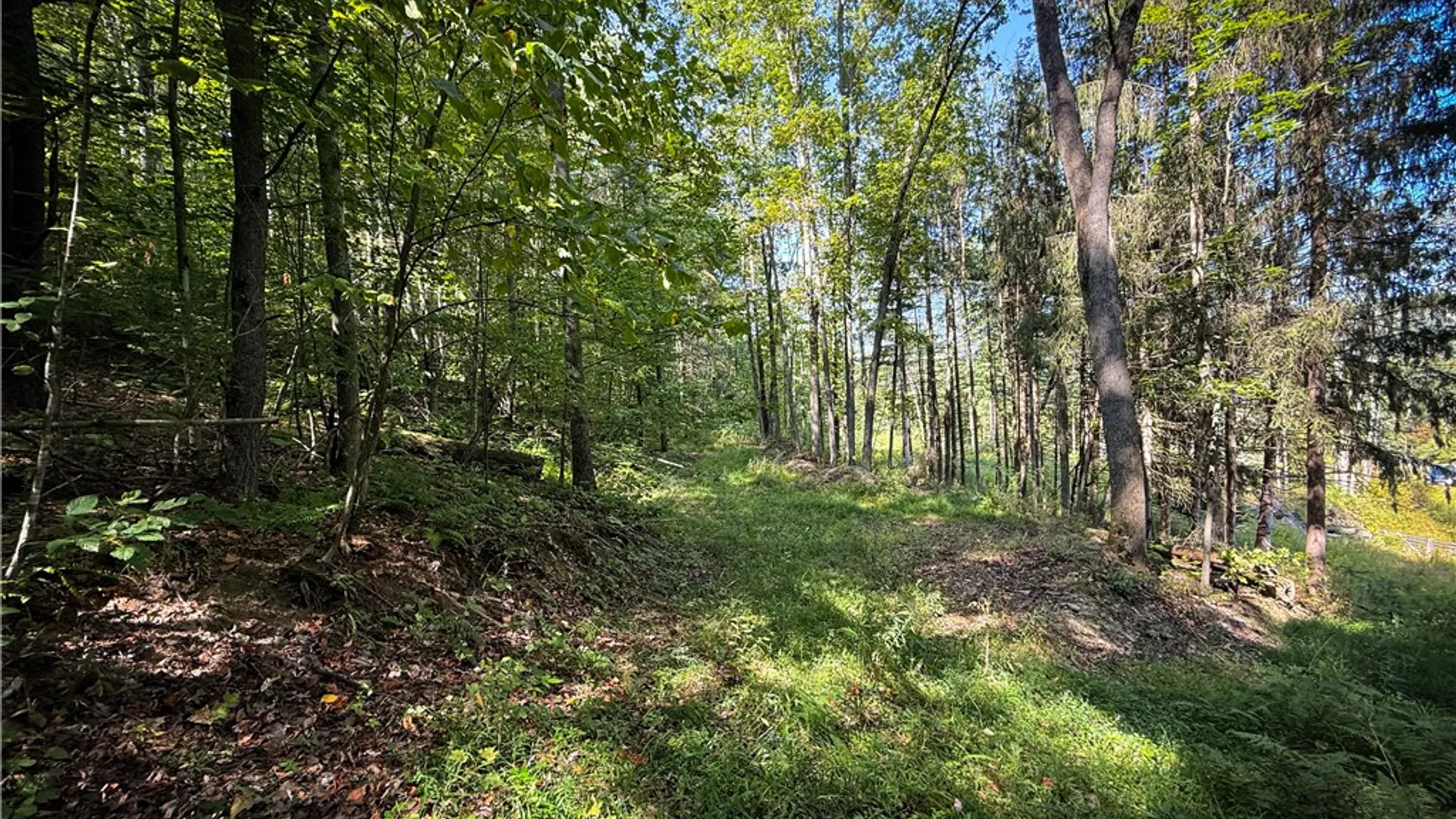 Property at 0 Worden Road, Barton, NY 14892 14