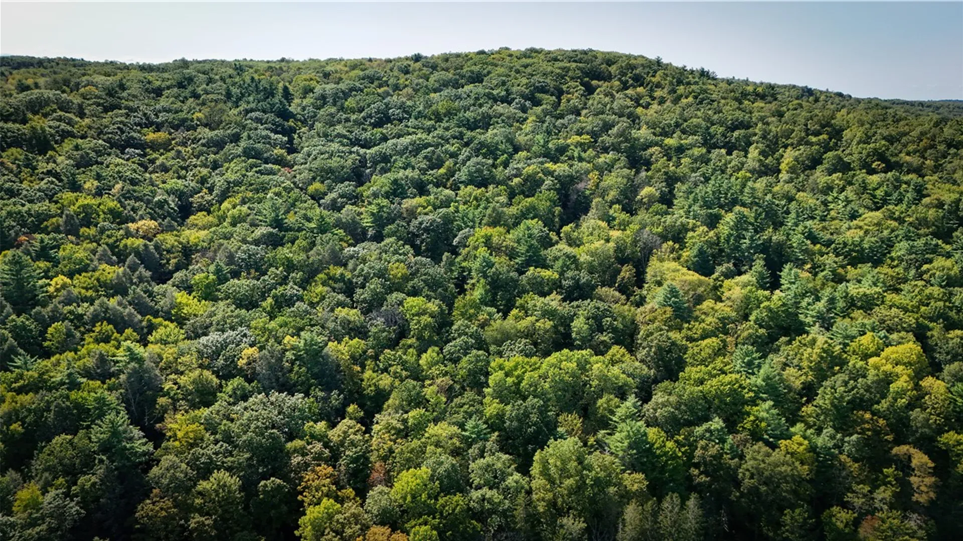 Property at 0 Worden Road, Barton, NY 14892 16