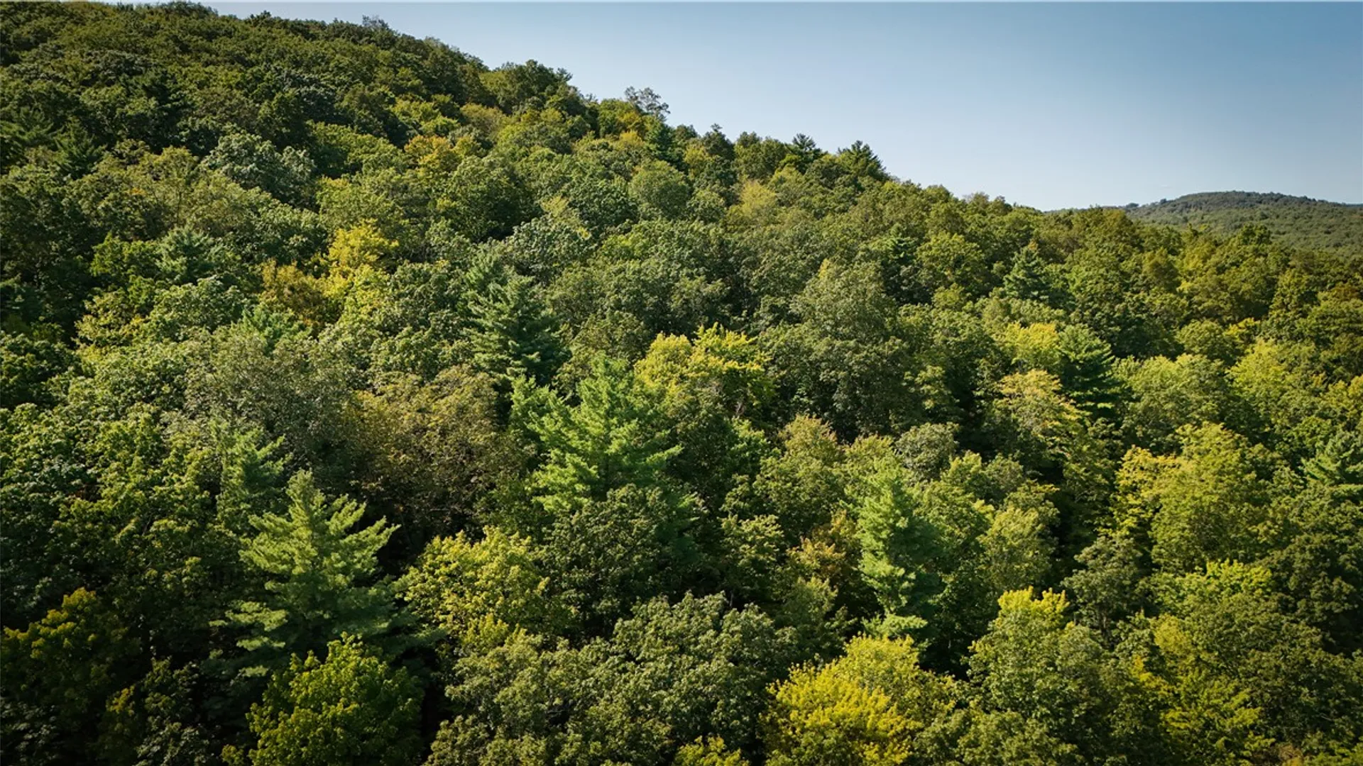 Property at 0 Worden Road, Barton, NY 14892 18