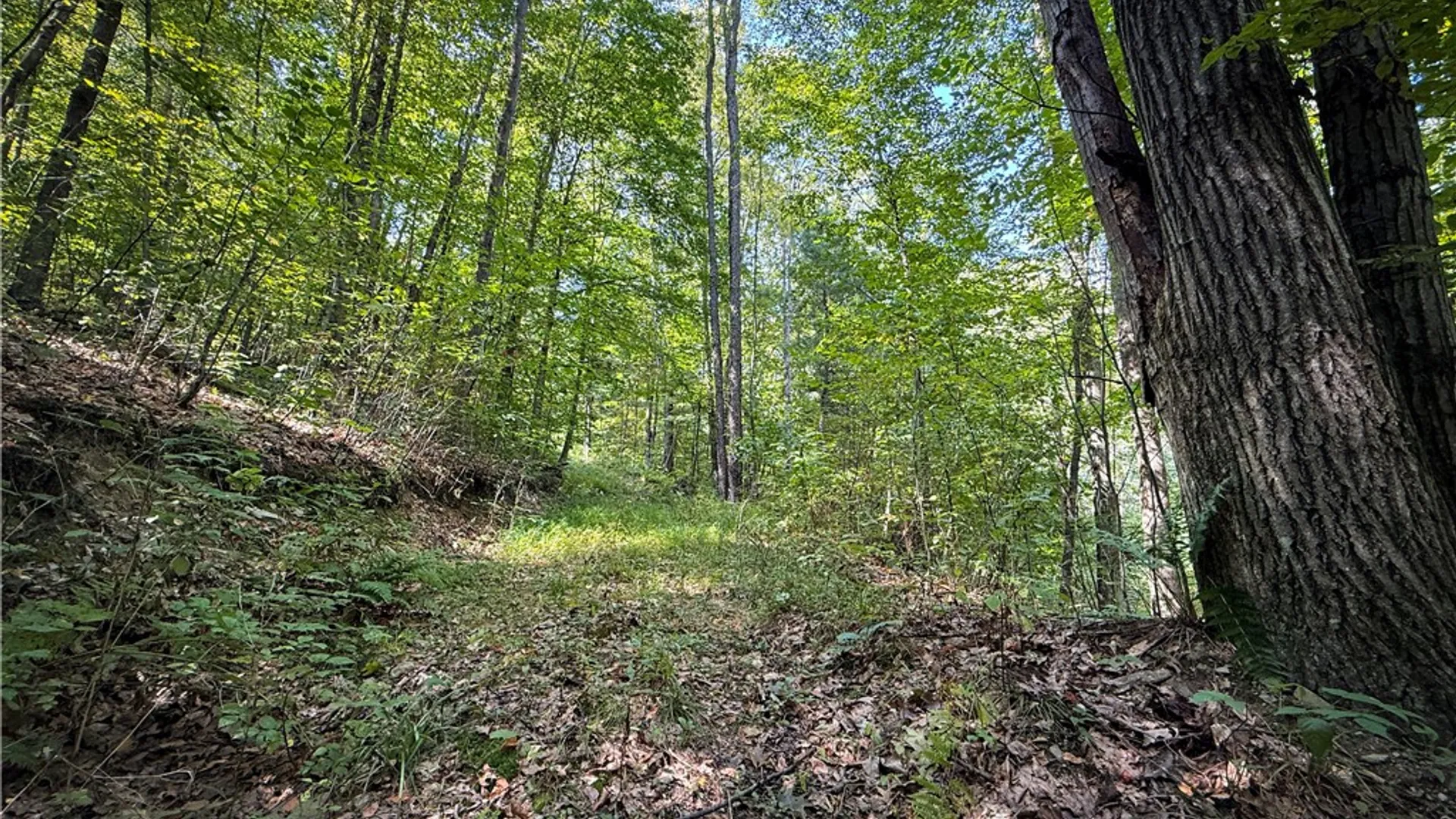 Property at 0 Worden Road, Barton, NY 14892 19