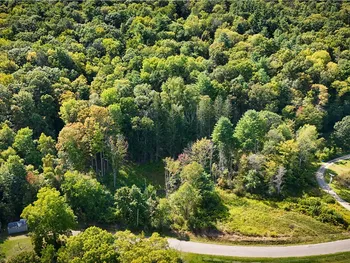 Property at 0 Worden Road, Barton, NY 14892