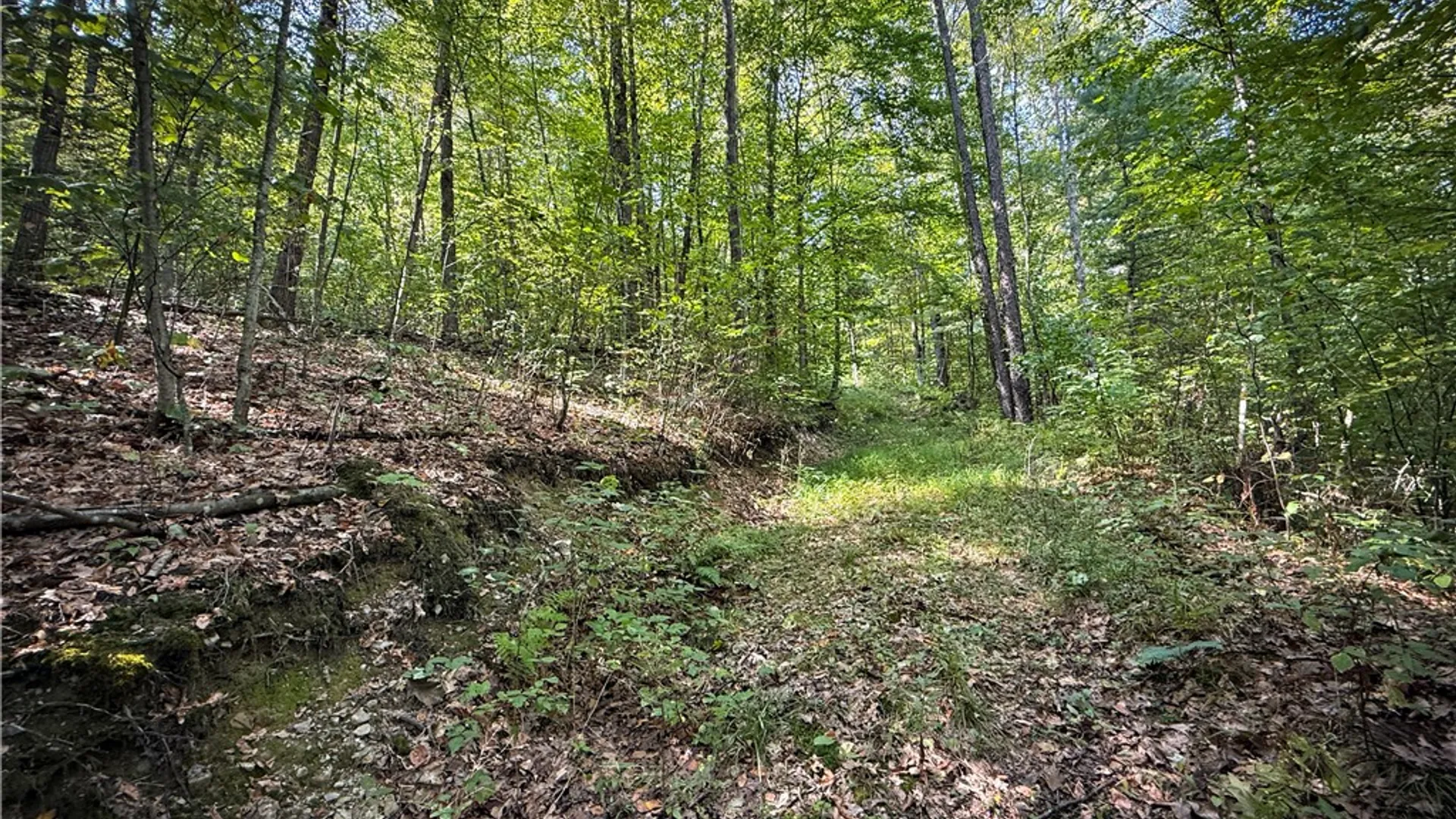 Property at 0 Worden Road, Barton, NY 14892 20