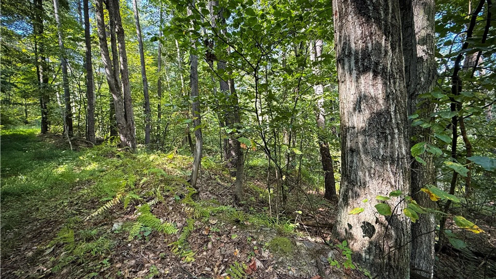 Property at 0 Worden Road, Barton, NY 14892 27