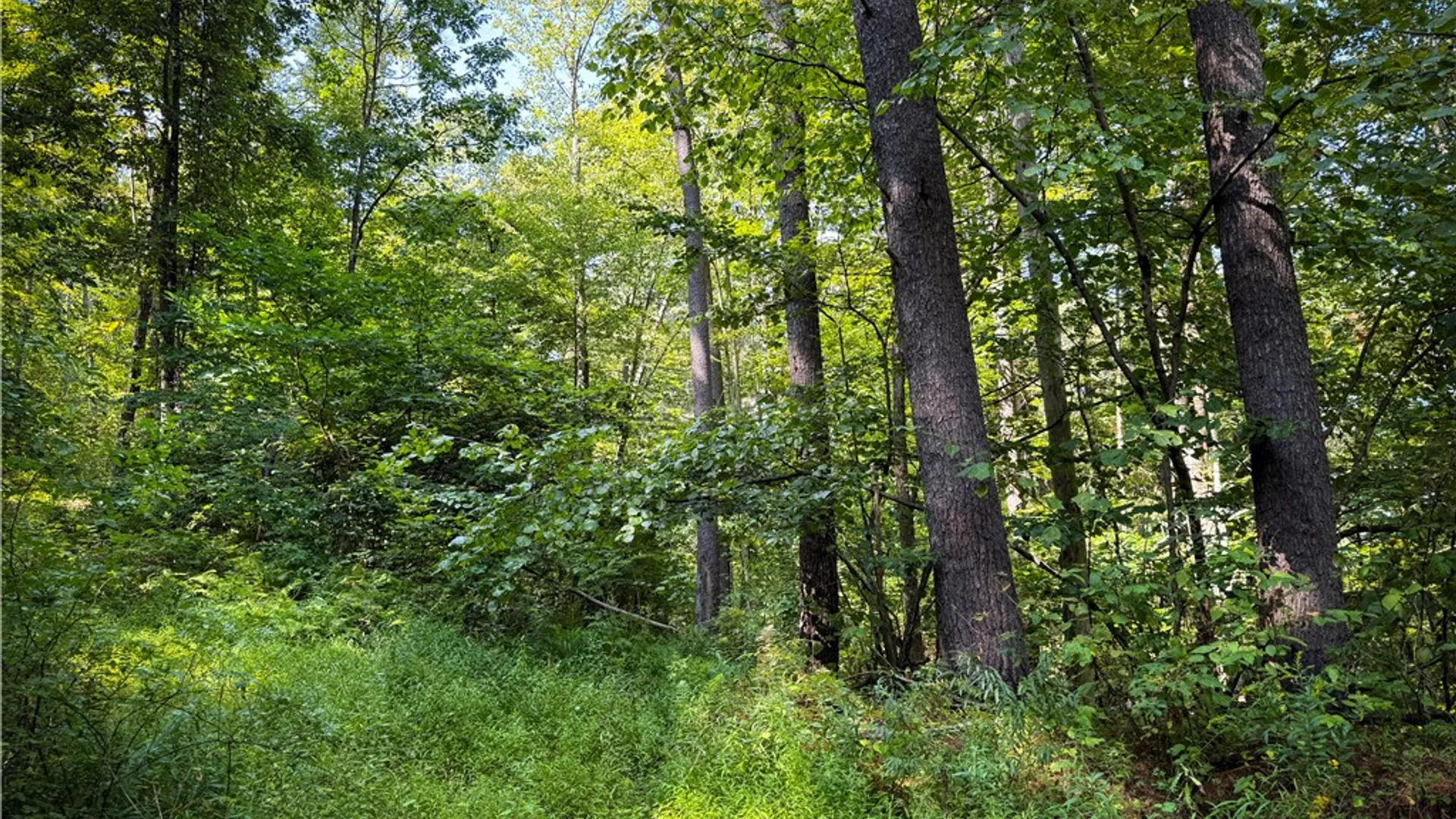 Property at 0 Worden Road, Barton, NY 14892 28