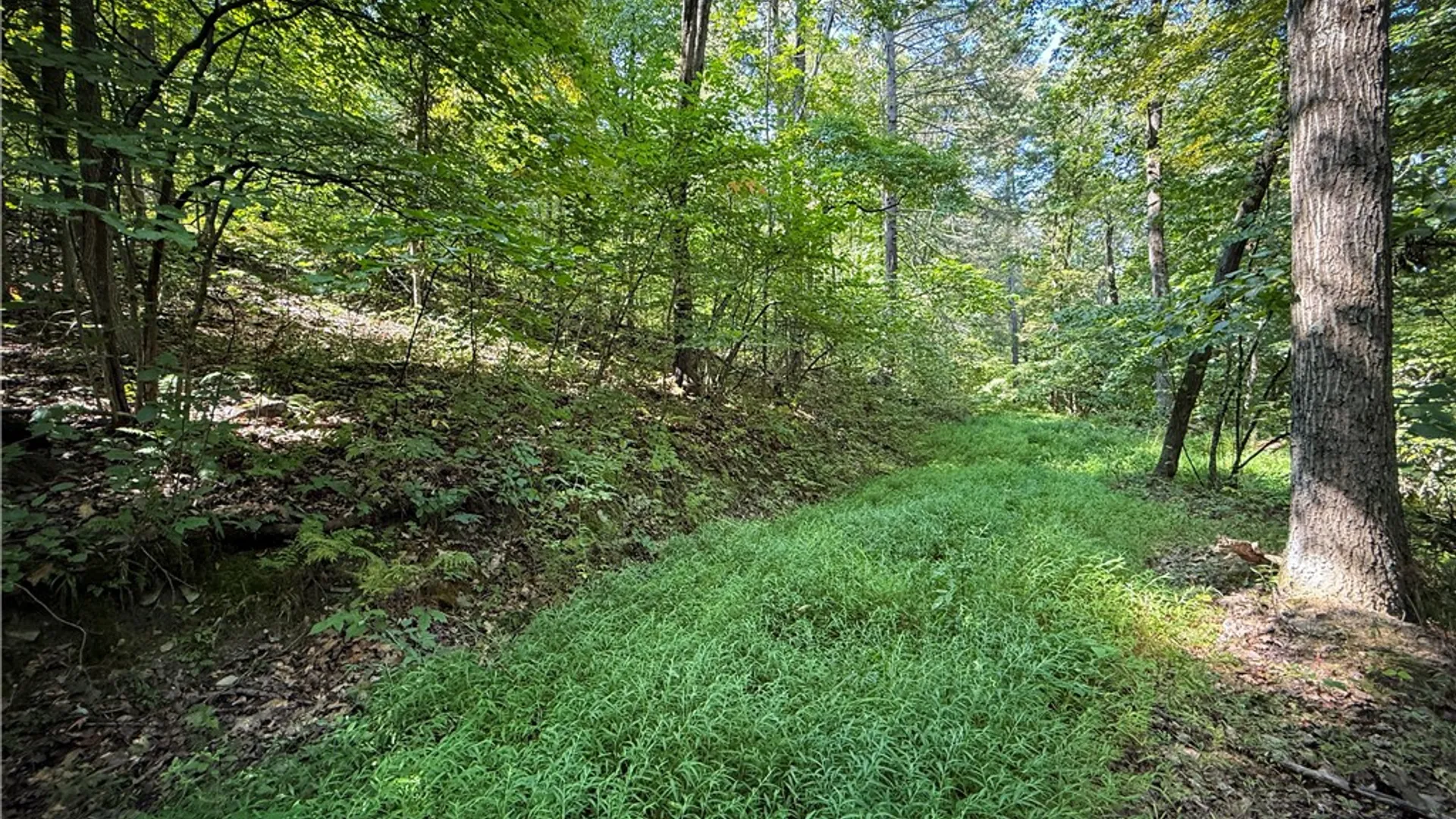 Property at 0 Worden Road, Barton, NY 14892 30