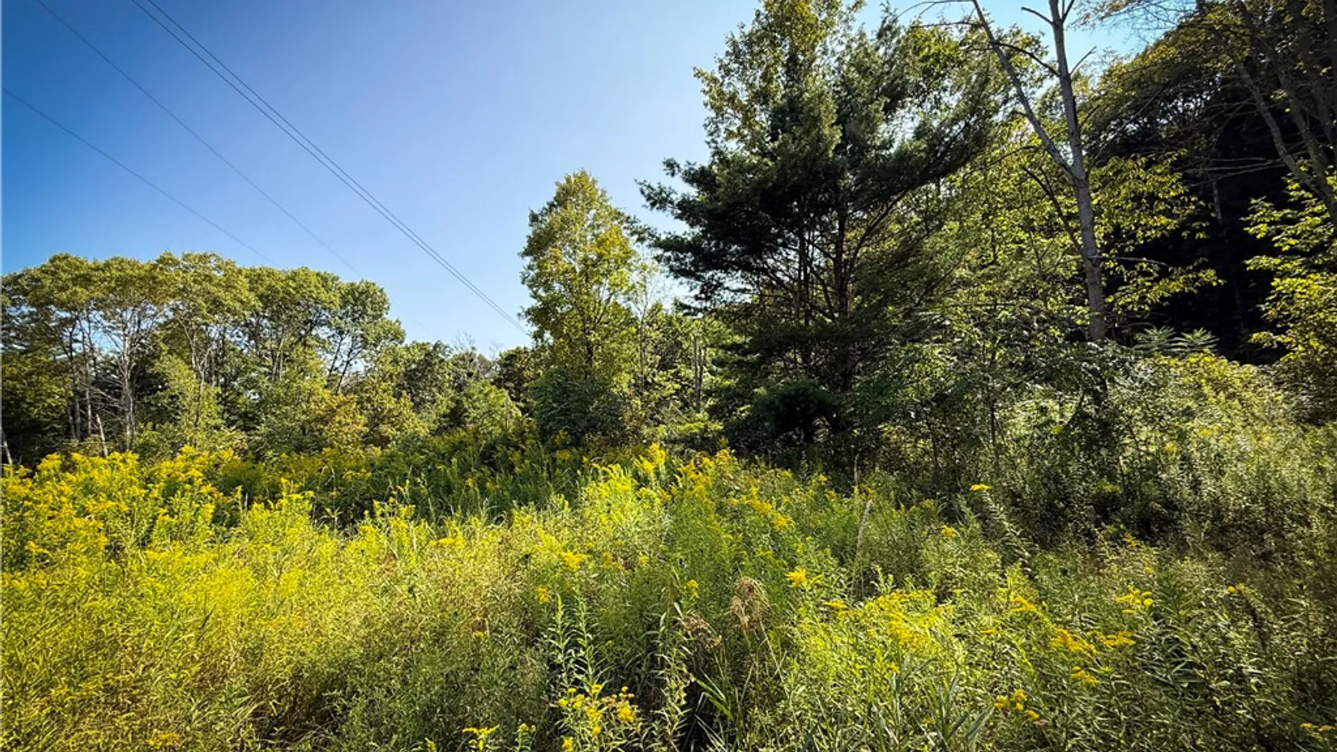 Property at 0 Worden Road, Barton, NY 14892 34