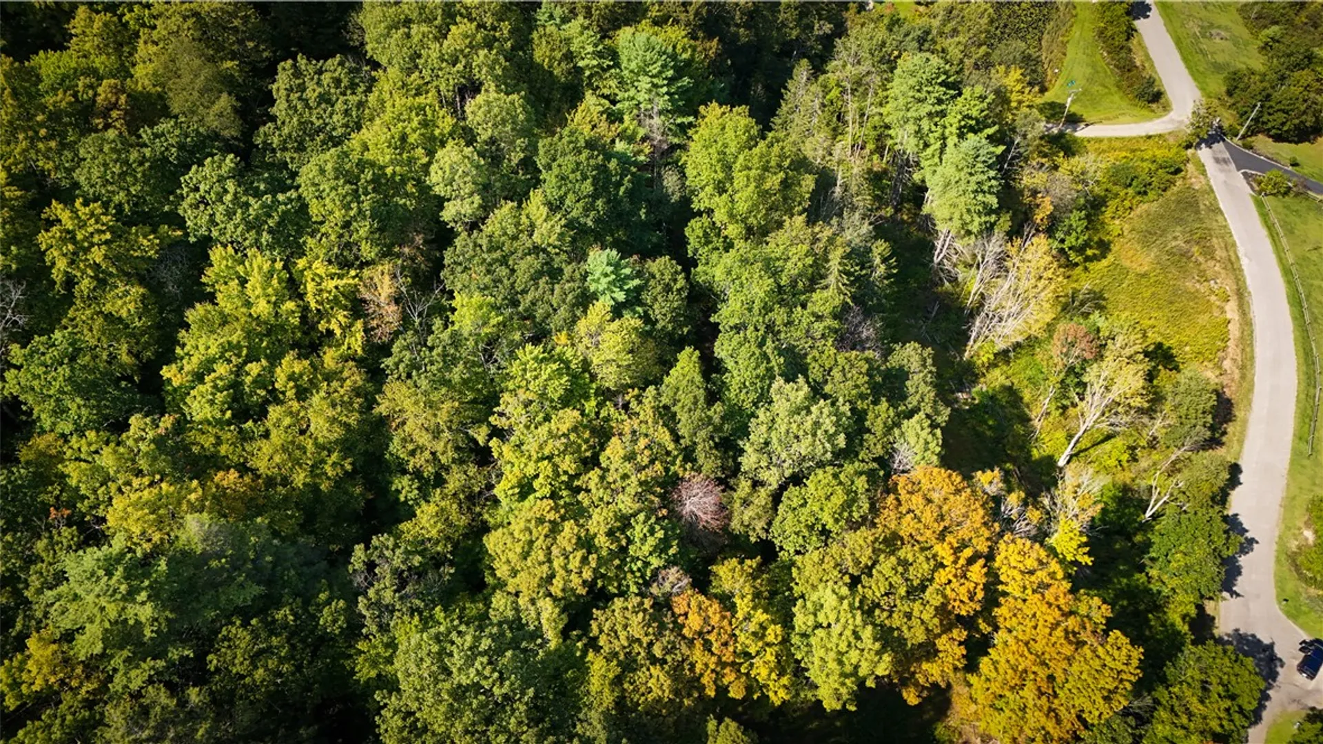 Property at 0 Worden Road, Barton, NY 14892 35