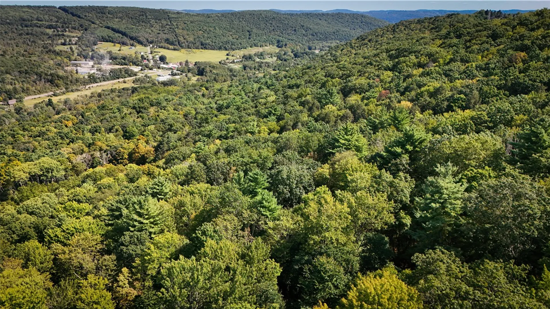 Property at 0 Worden Road, Barton, NY 14892 36