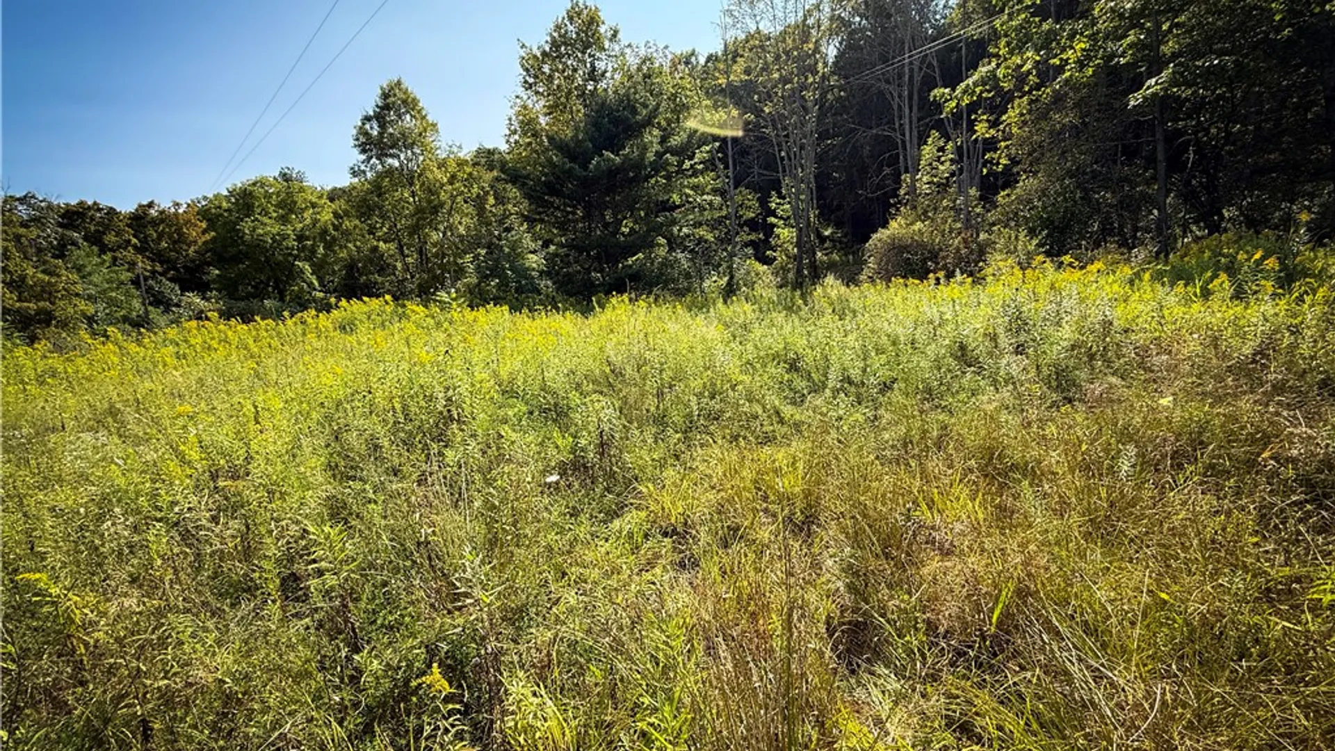 Property at 0 Worden Road, Barton, NY 14892 4