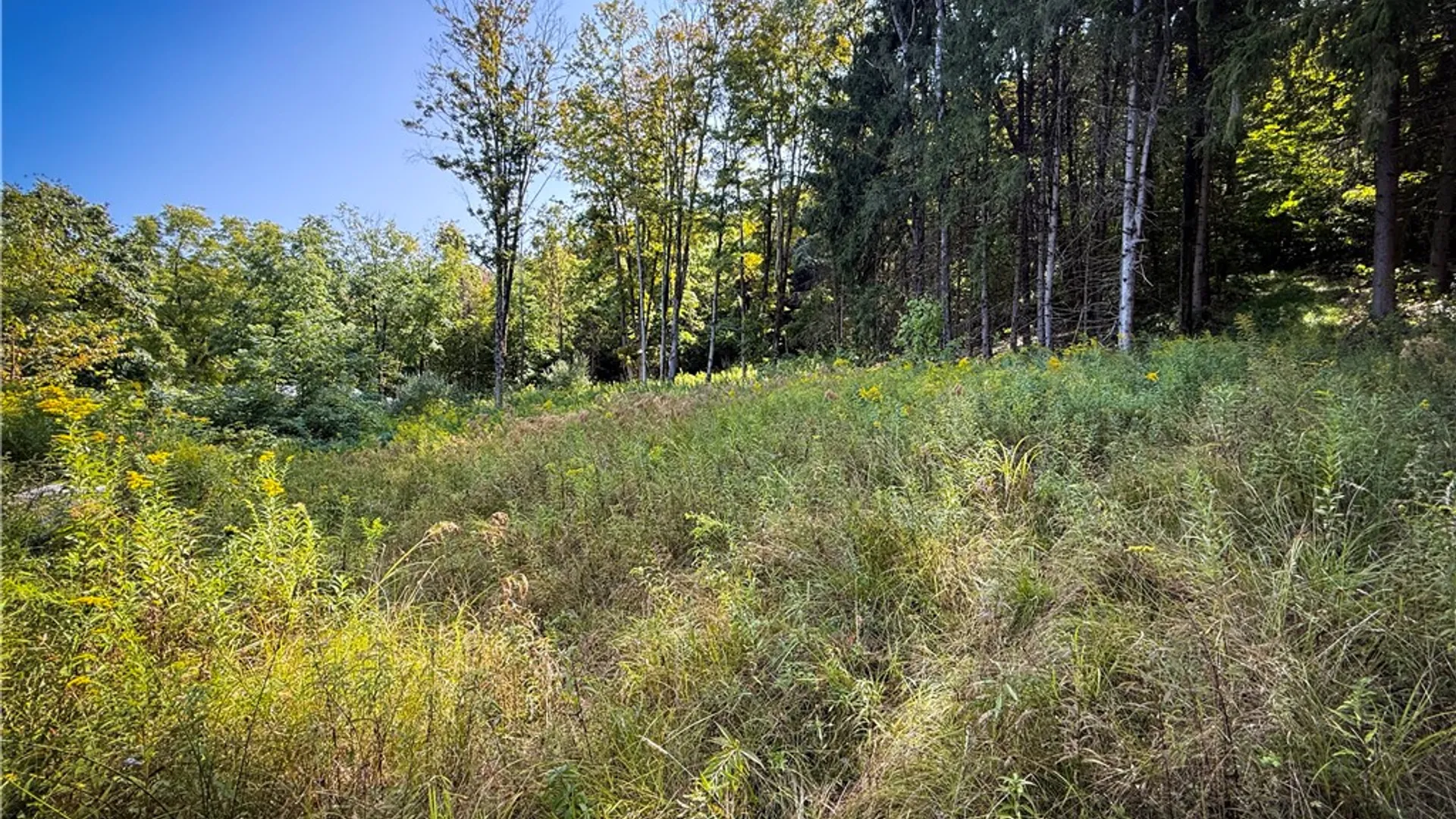 Property at 0 Worden Road, Barton, NY 14892 7