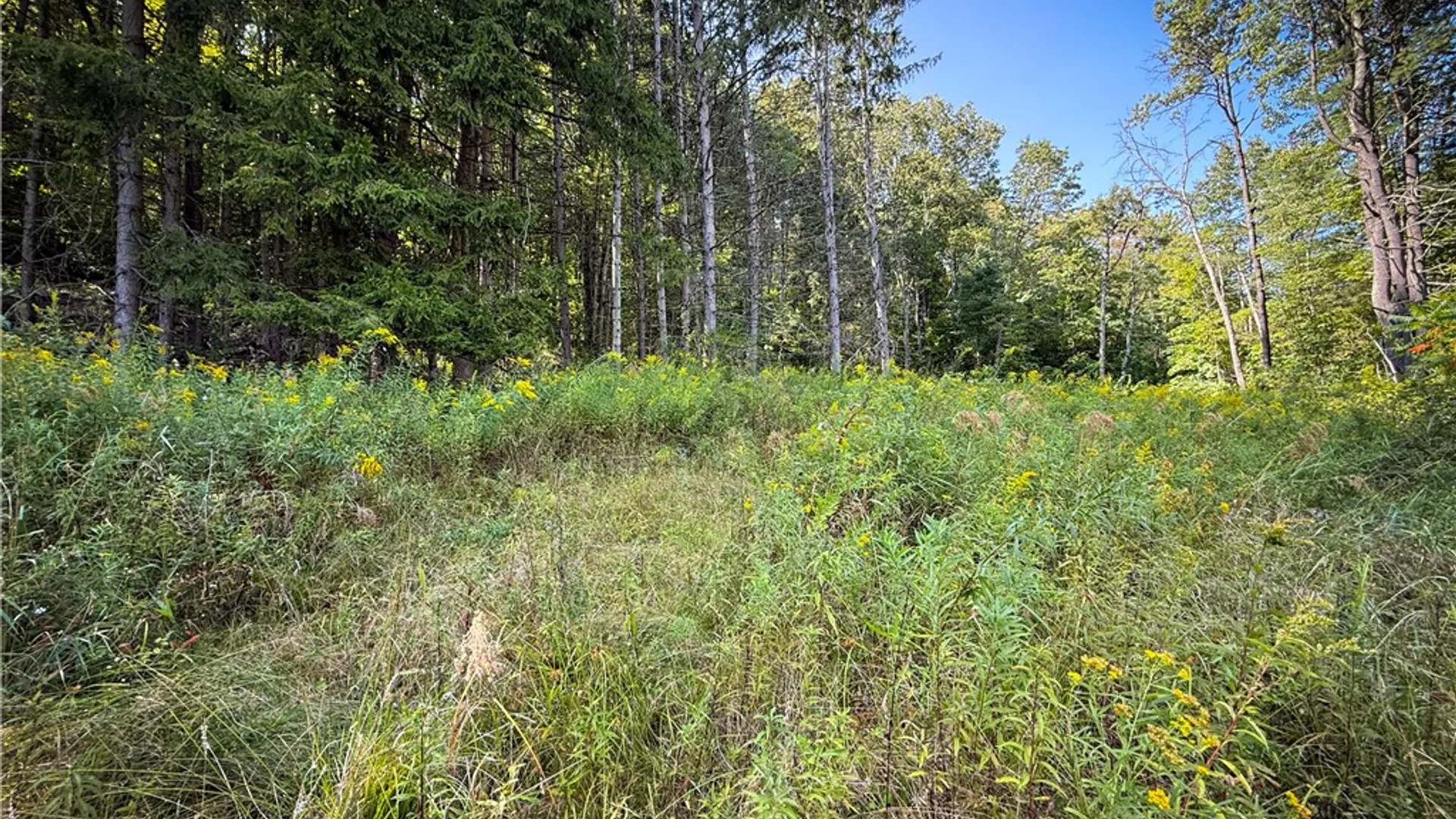 Property at 0 Worden Road, Barton, NY 14892 8