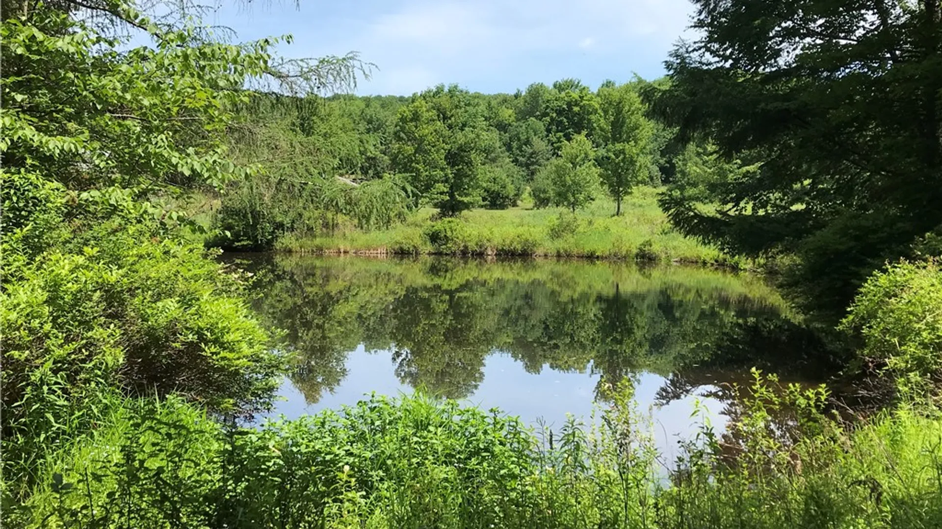 Property at 0 Campbell Road, Franklin, NY 13775 7