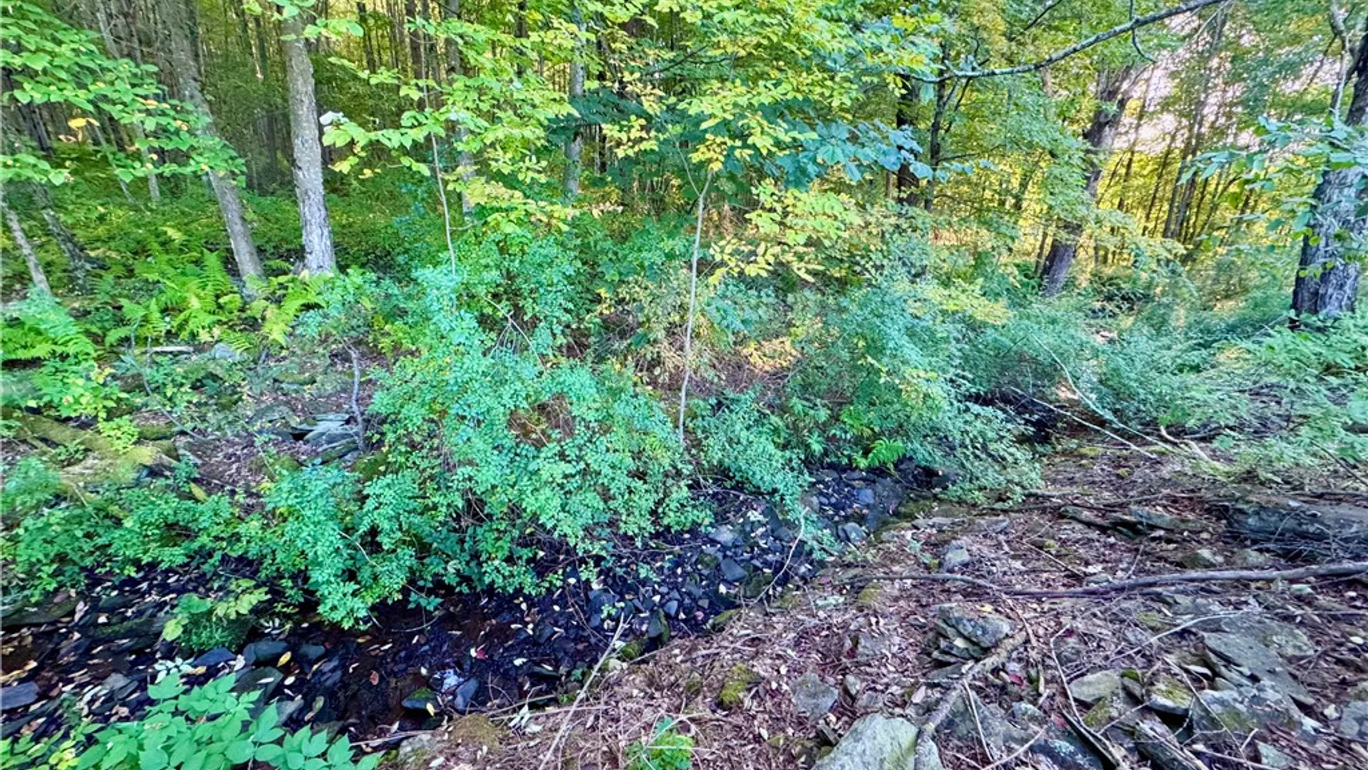Property at 0 Campbell Road, Franklin, NY 13775 9