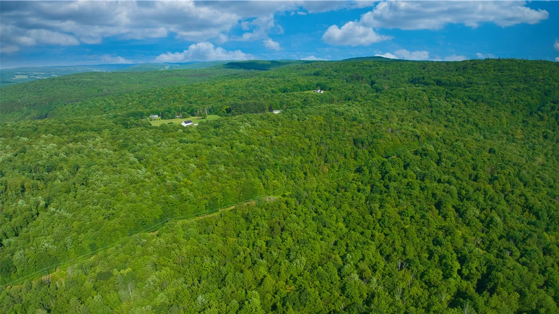 Property at 0 Pine Hill Road, Sidney, NY 13838 10