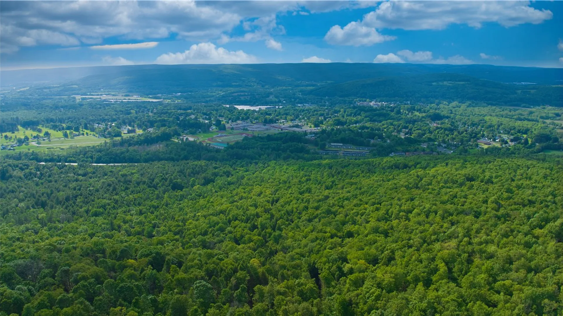 Property at 0 Pine Hill Road, Sidney, NY 13838 12