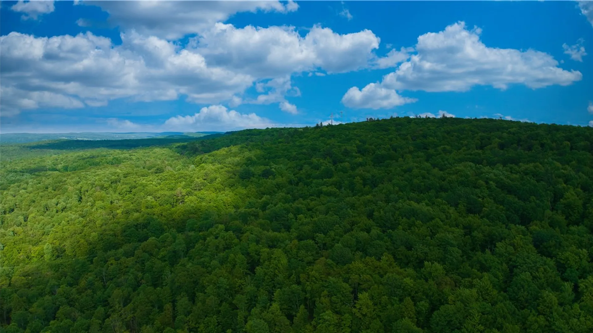 Property at 0 Pine Hill Road, Sidney, NY 13838 14