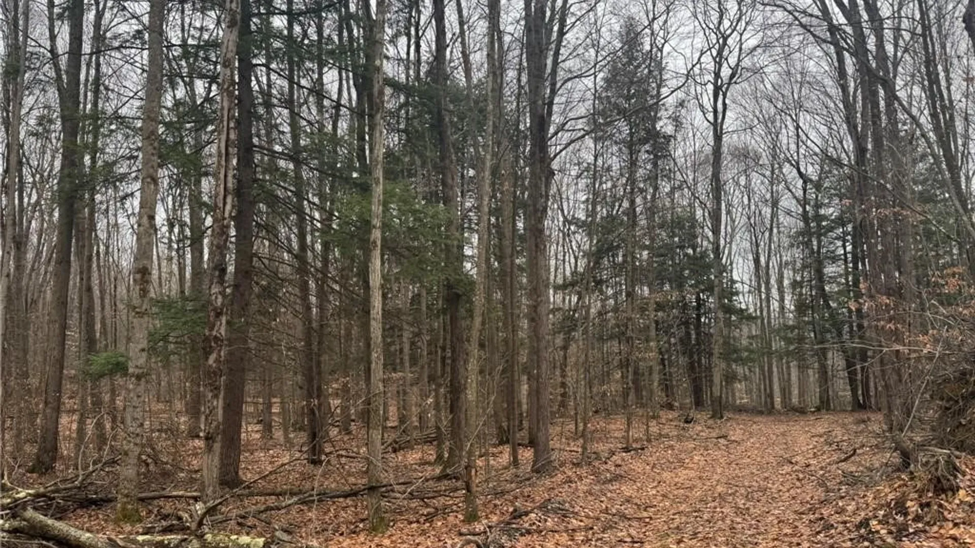 Property at 0 Pine Hill Road, Sidney, NY 13838 15