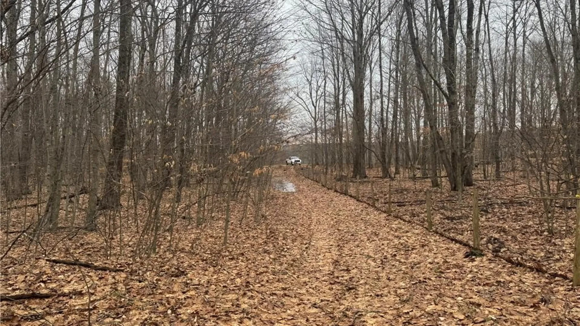 Property at 0 Pine Hill Road, Sidney, NY 13838 16