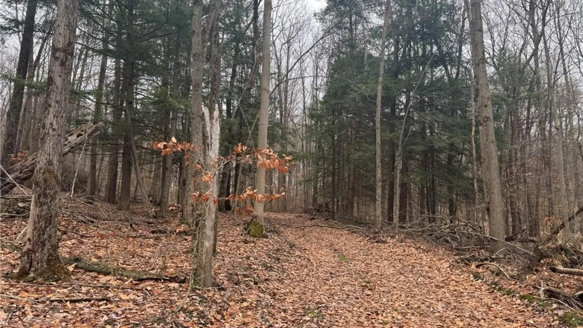 Property at 0 Pine Hill Road, Sidney, NY 13838 17