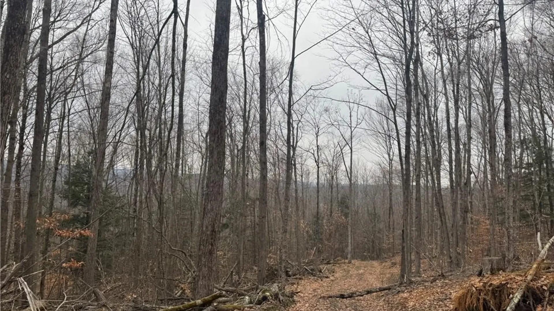 Property at 0 Pine Hill Road, Sidney, NY 13838 18