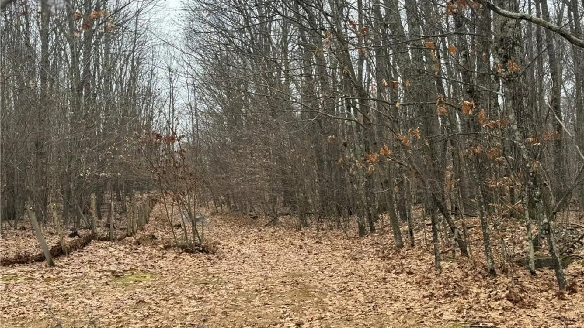 Property at 0 Pine Hill Road, Sidney, NY 13838 19