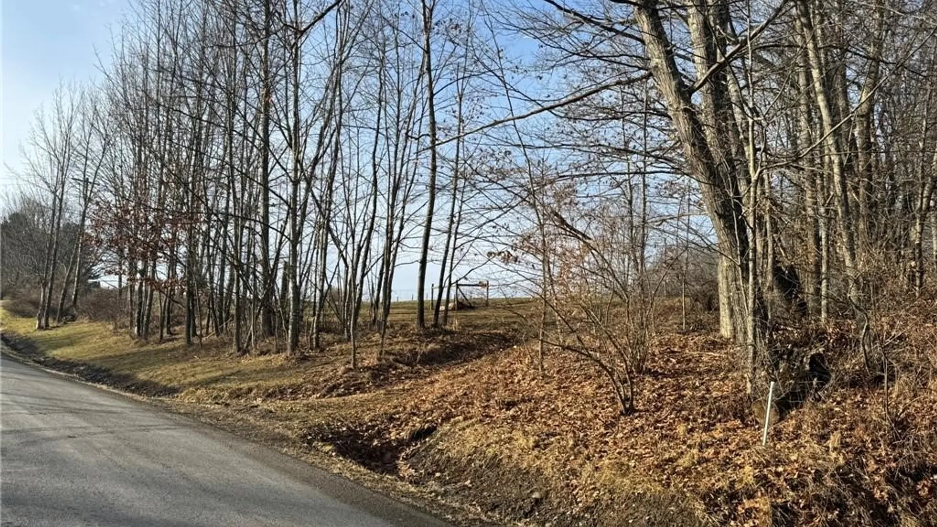 Property at 0 Pine Hill Road, Sidney, NY 13838 21