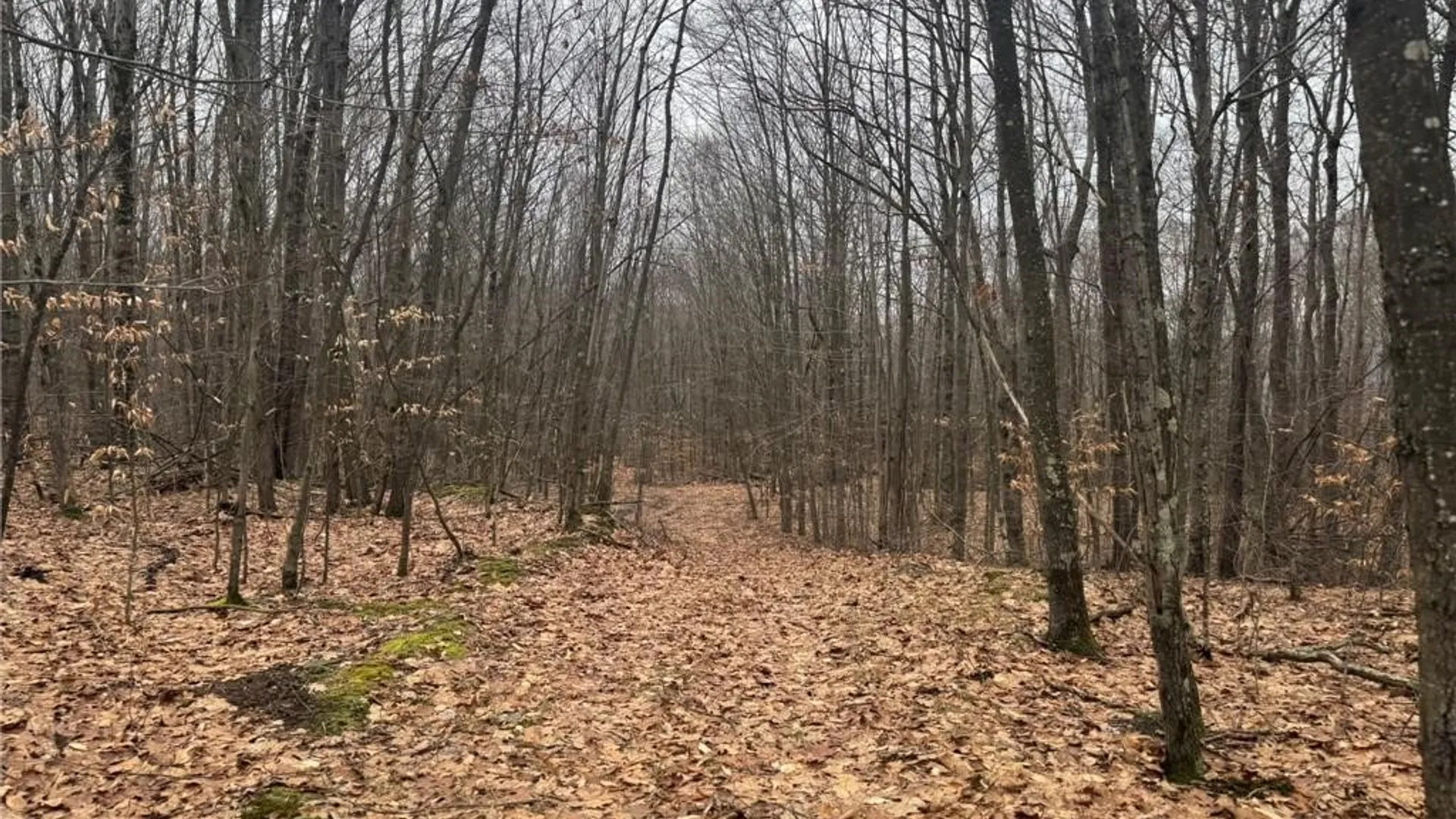 Property at 0 Pine Hill Road, Sidney, NY 13838 22