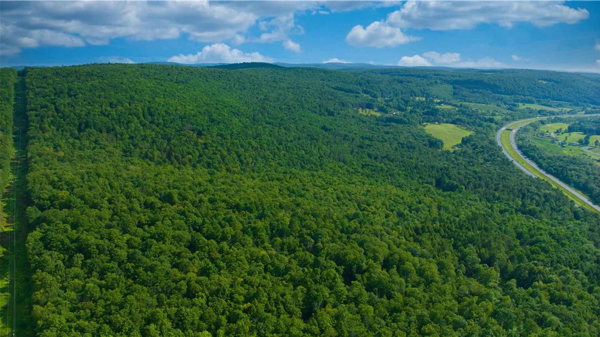 Property at 0 Pine Hill Road, Sidney, NY 13838 6