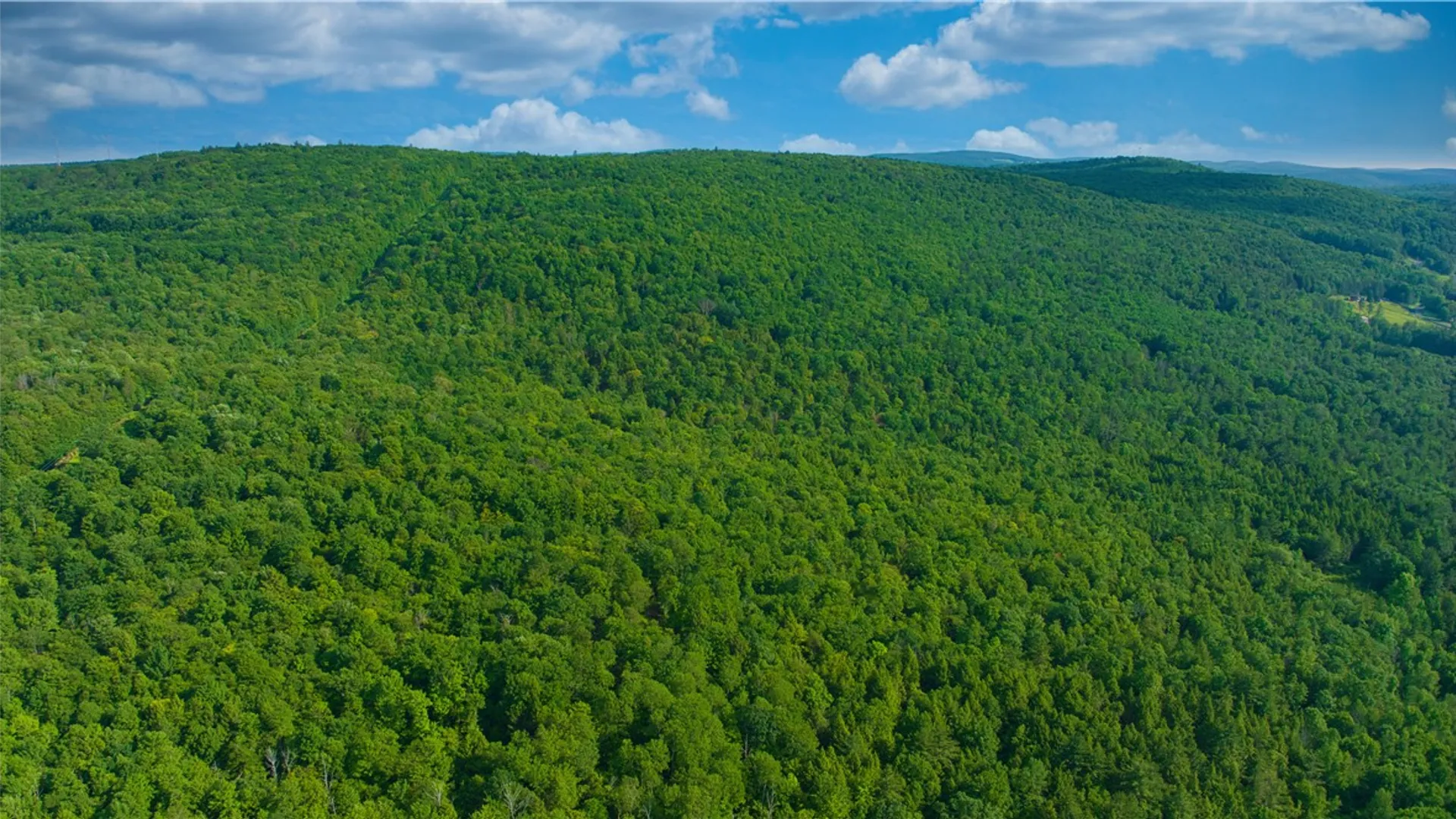 Property at 0 Pine Hill Road, Sidney, NY 13838 7