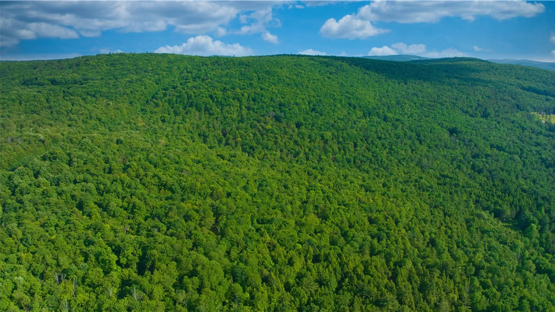 Property at 0 Pine Hill Road, Sidney, NY 13838 9