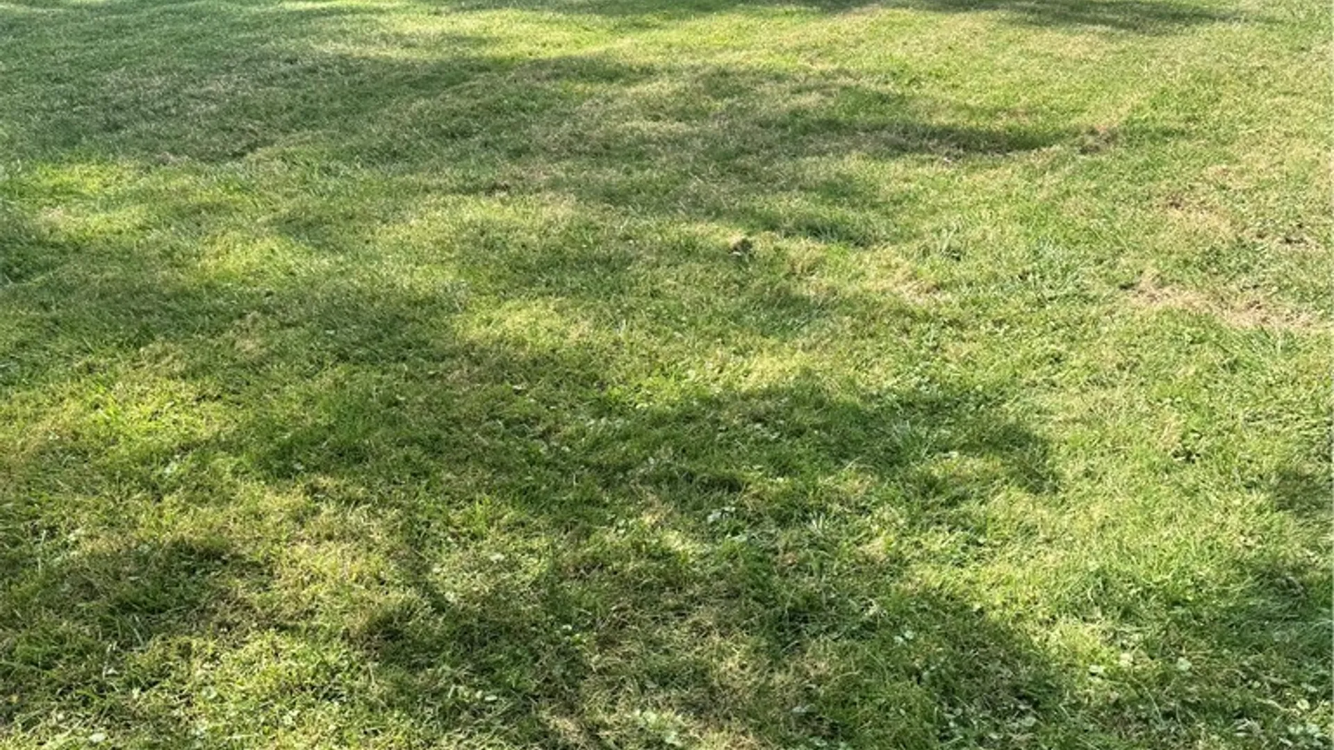 Property at Youngs Street, Milo, NY 14527 4