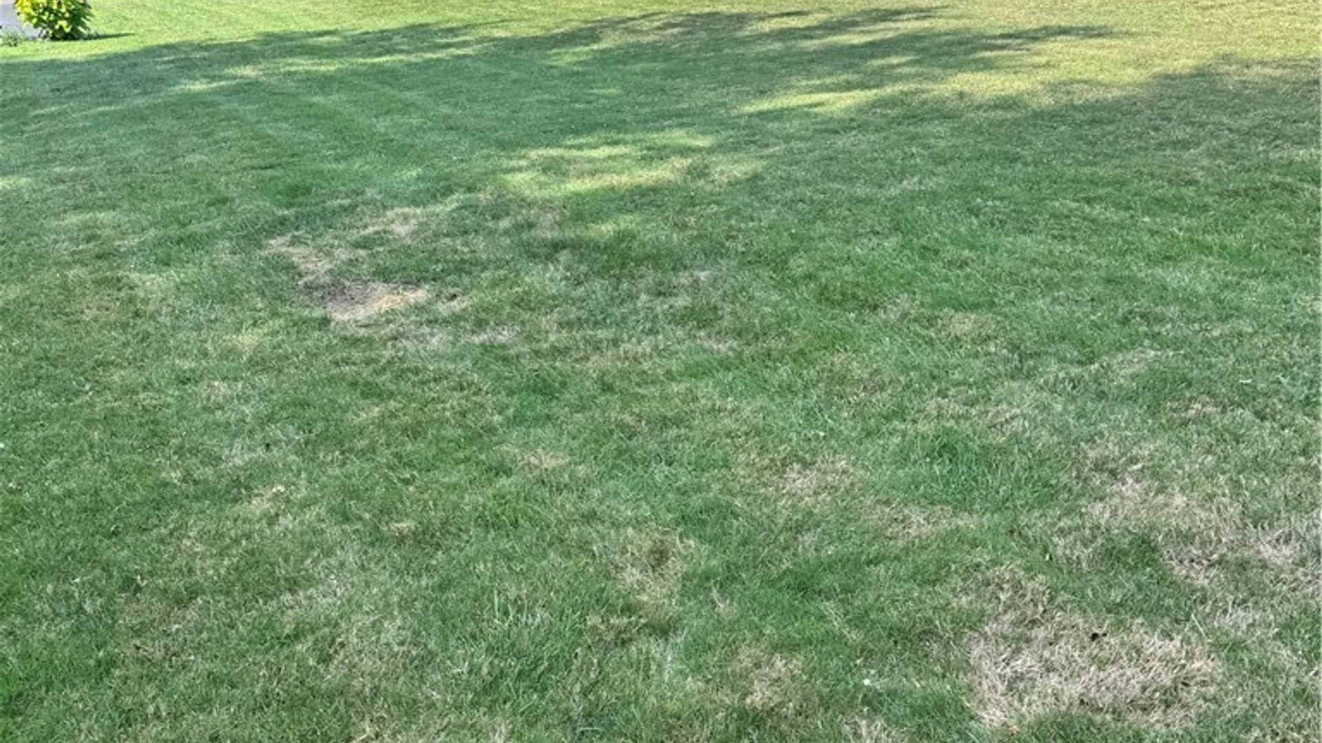 Property at Youngs Street, Milo, NY 14527 5