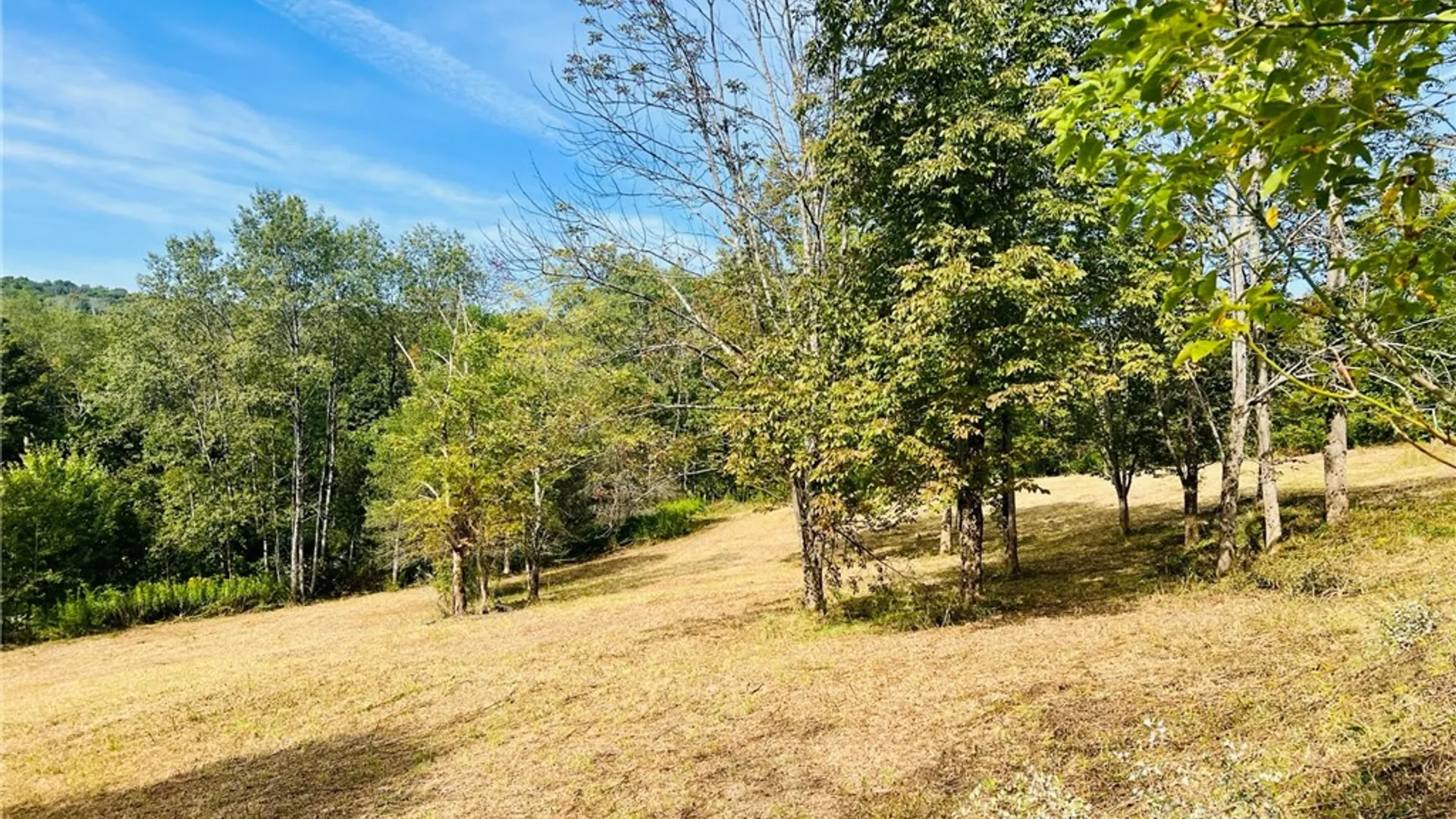 Property at 638 Blackman Hill Road, Caroline, NY 13736 17