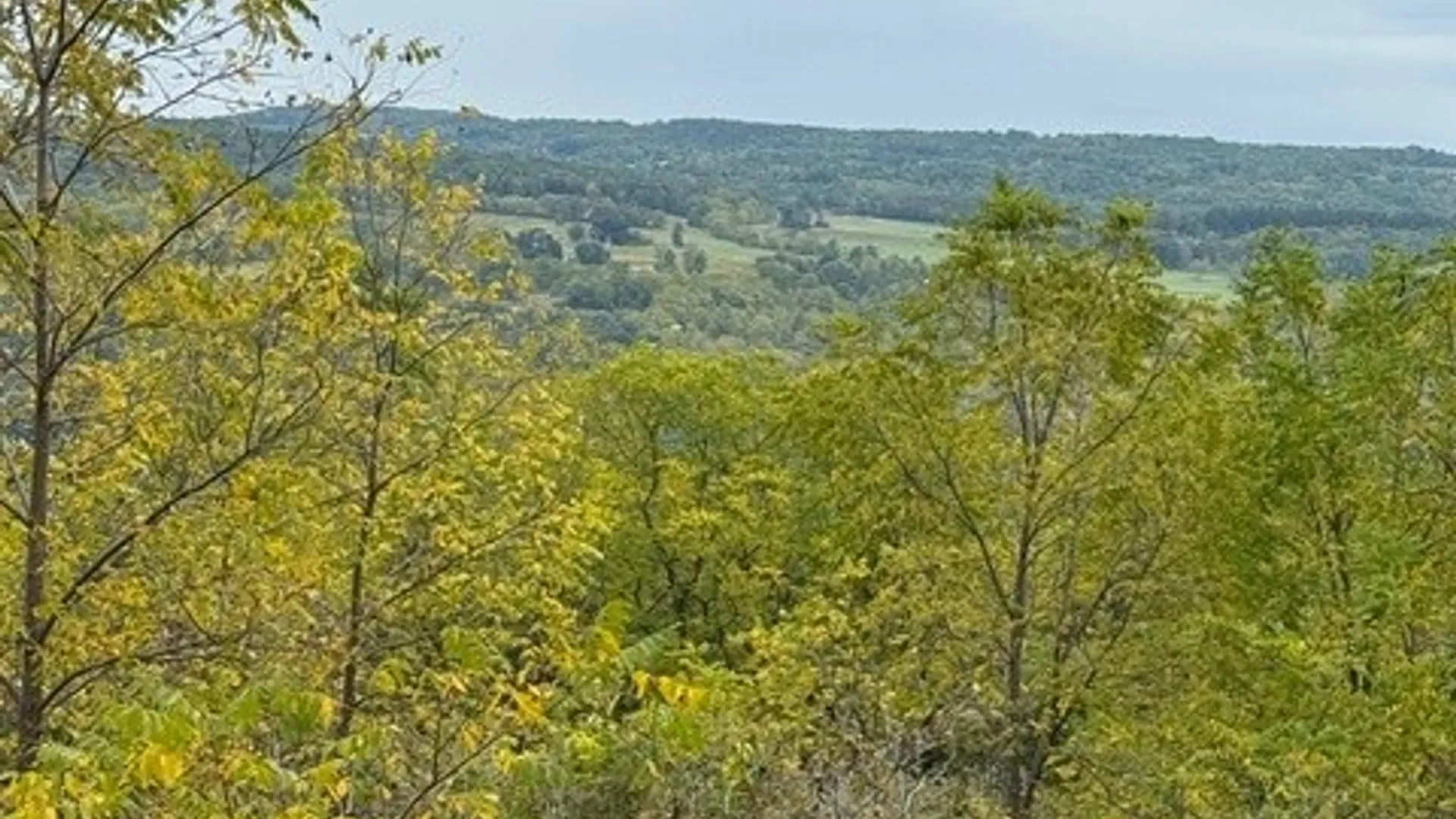 Property at Belle Cornell Drive, Dix, NY 14865 10