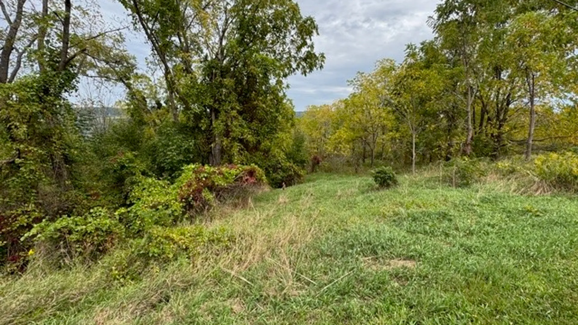 Property at Belle Cornell Drive, Dix, NY 14865 12