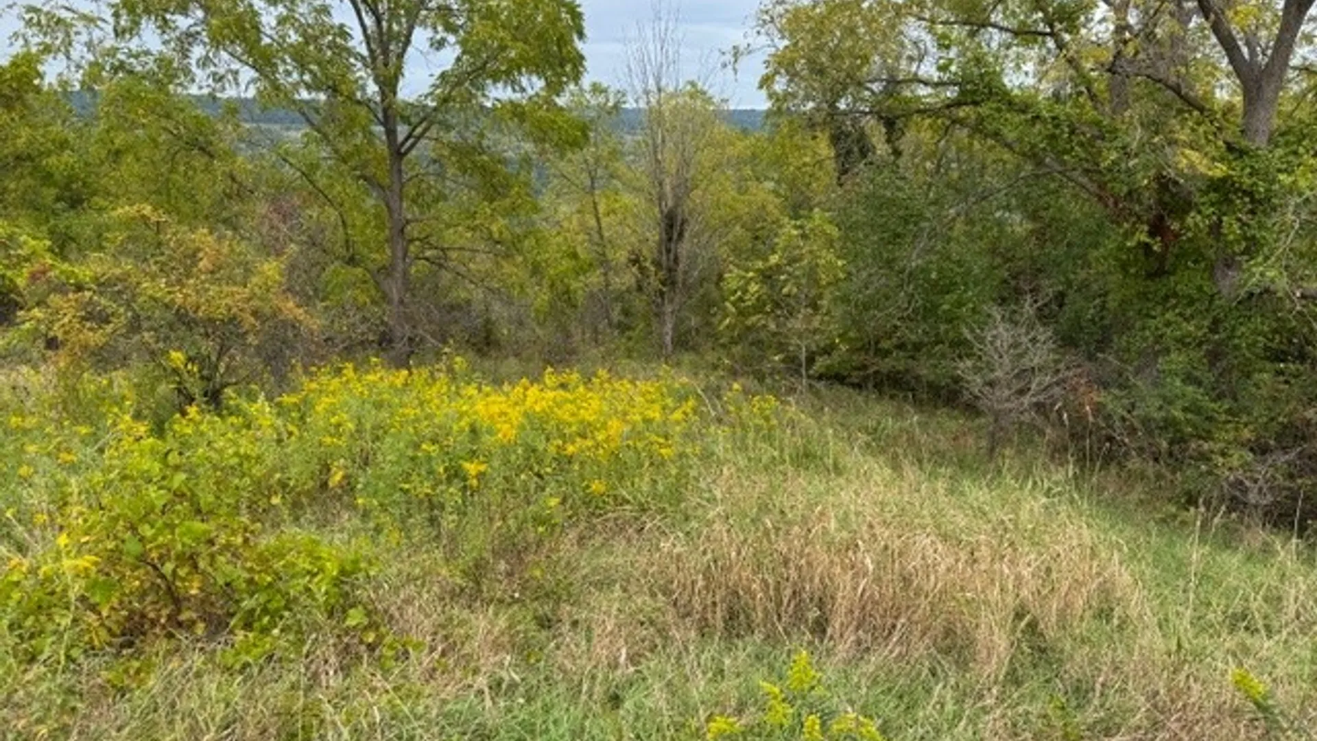 Property at Belle Cornell Drive, Dix, NY 14865 2