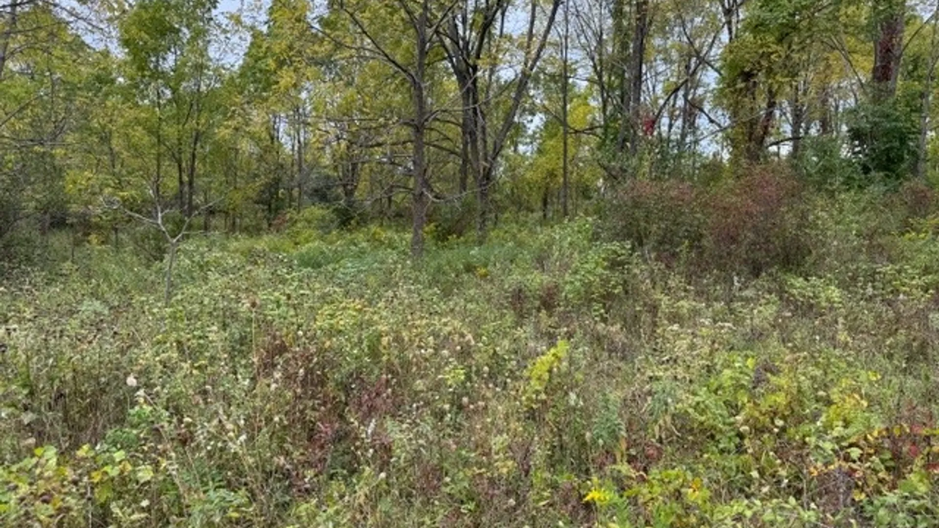 Property at Belle Cornell Drive, Dix, NY 14865 3