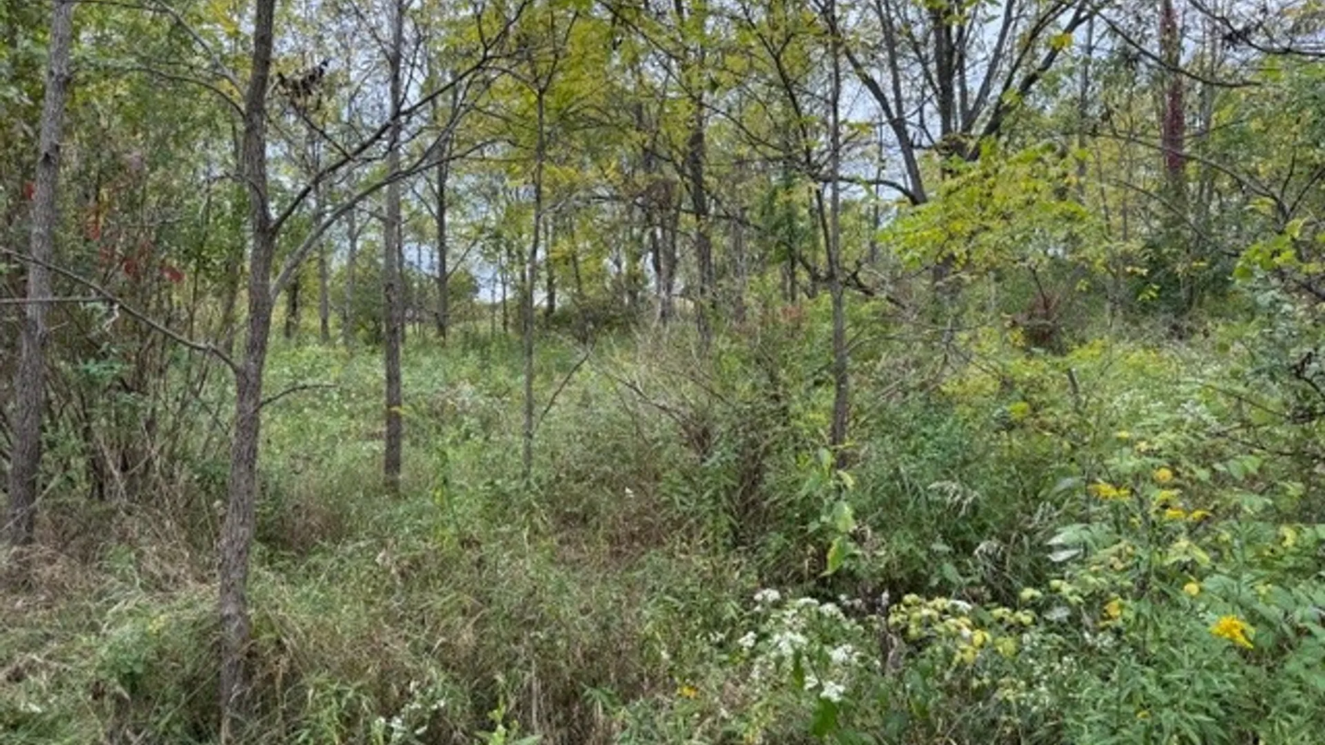 Property at Belle Cornell Drive, Dix, NY 14865 4