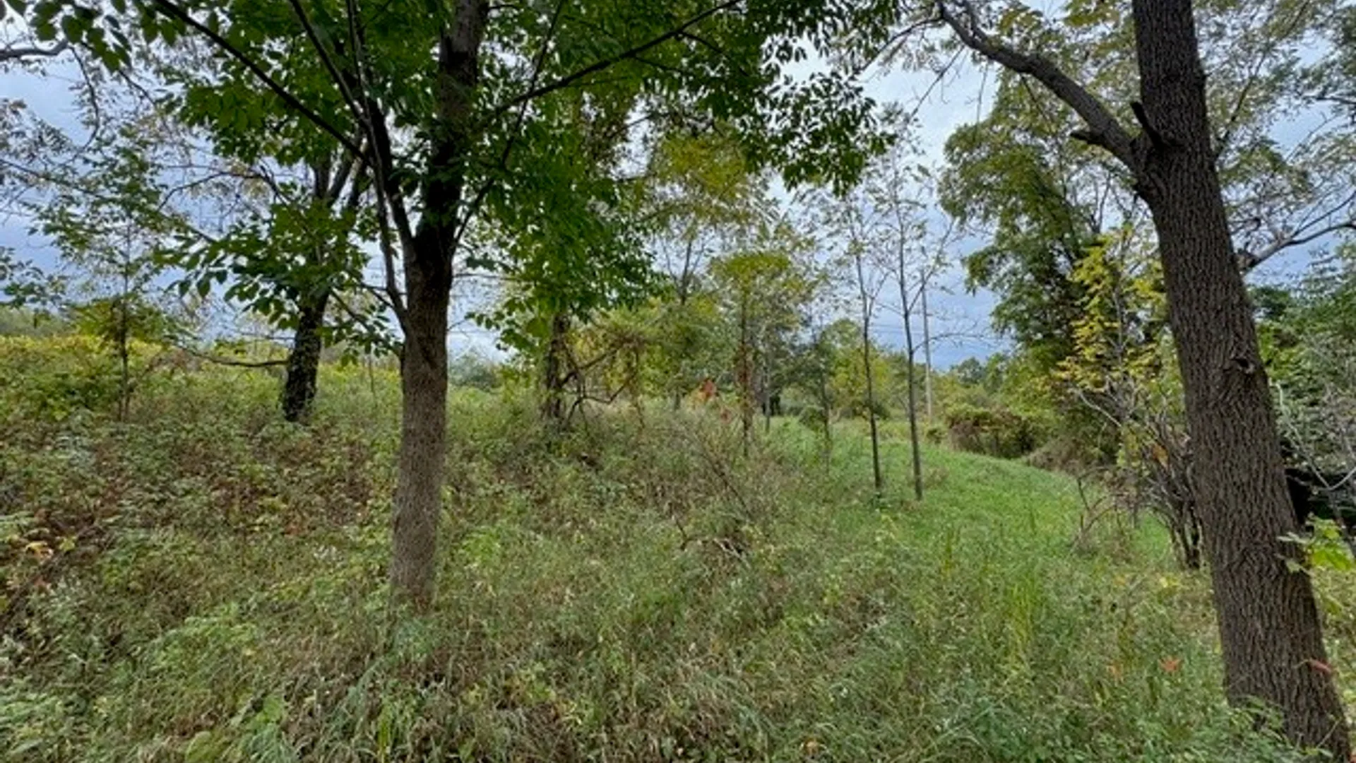 Property at Belle Cornell Drive, Dix, NY 14865 5