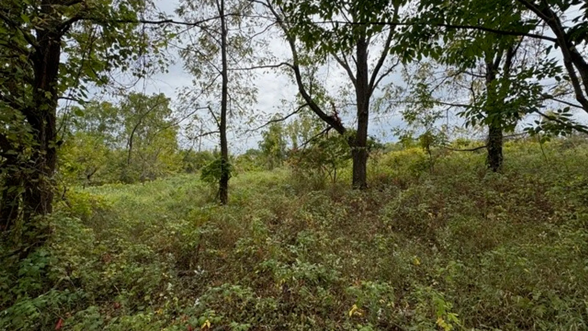 Property at Belle Cornell Drive, Dix, NY 14865 6